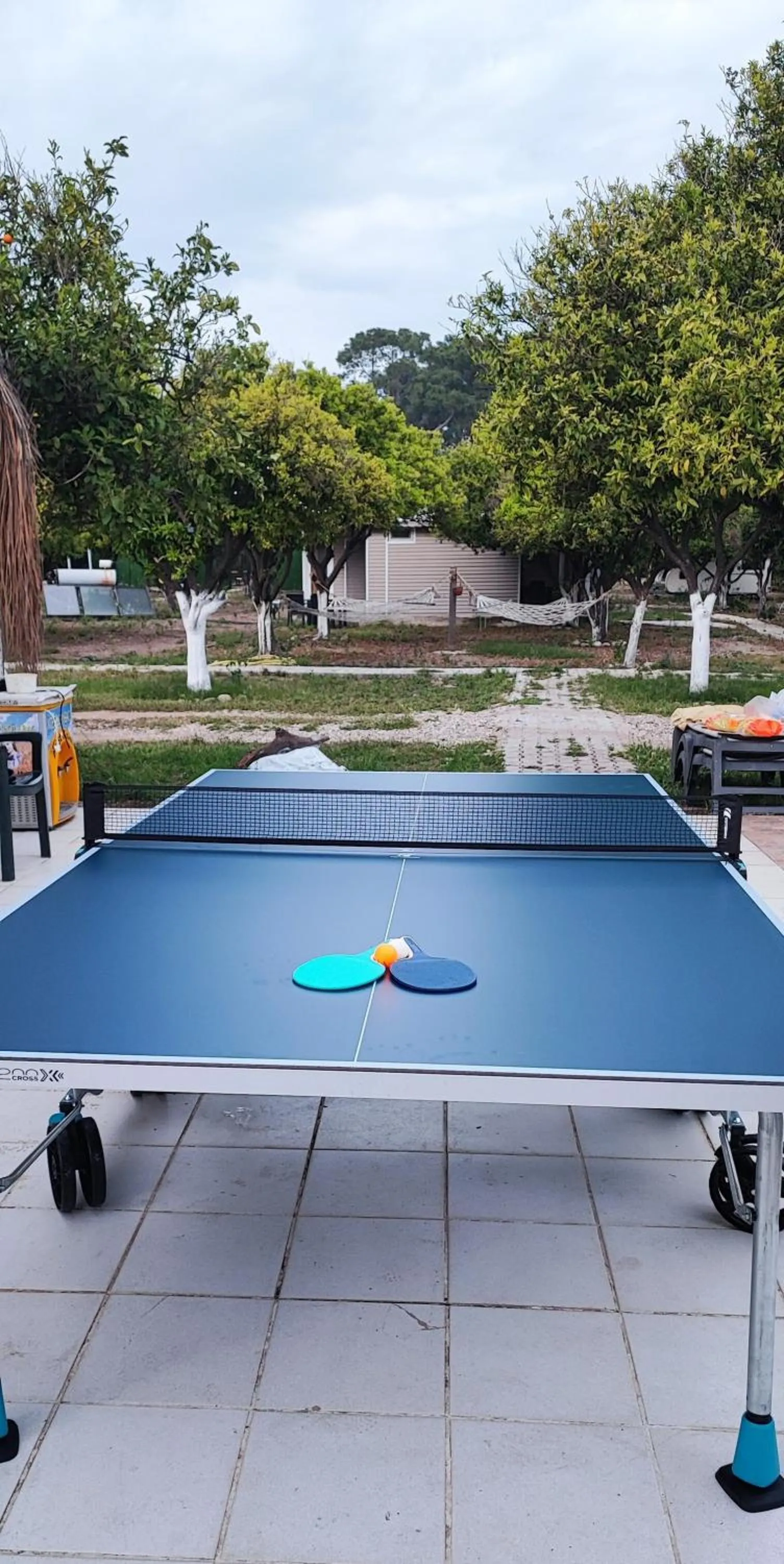 Day in ORANGE BEACH CAMP