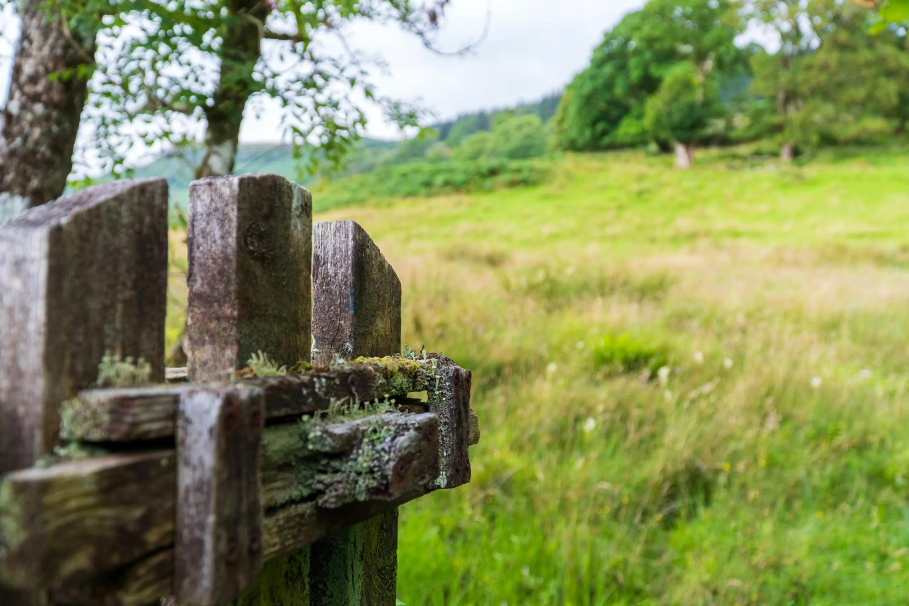 Killean Farmhouse B&B