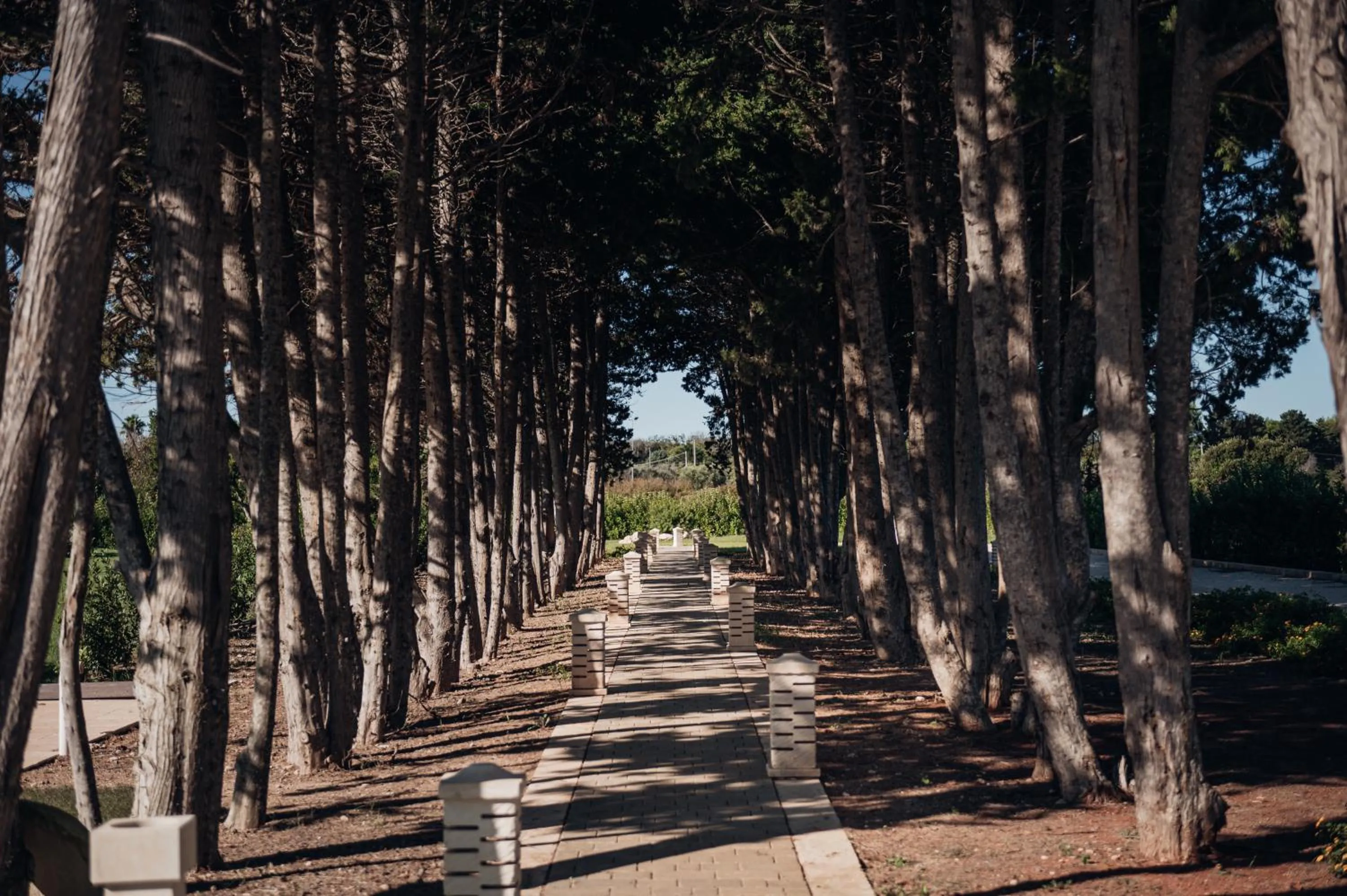 Natural landscape in Masseria Longa Boutique Hotel