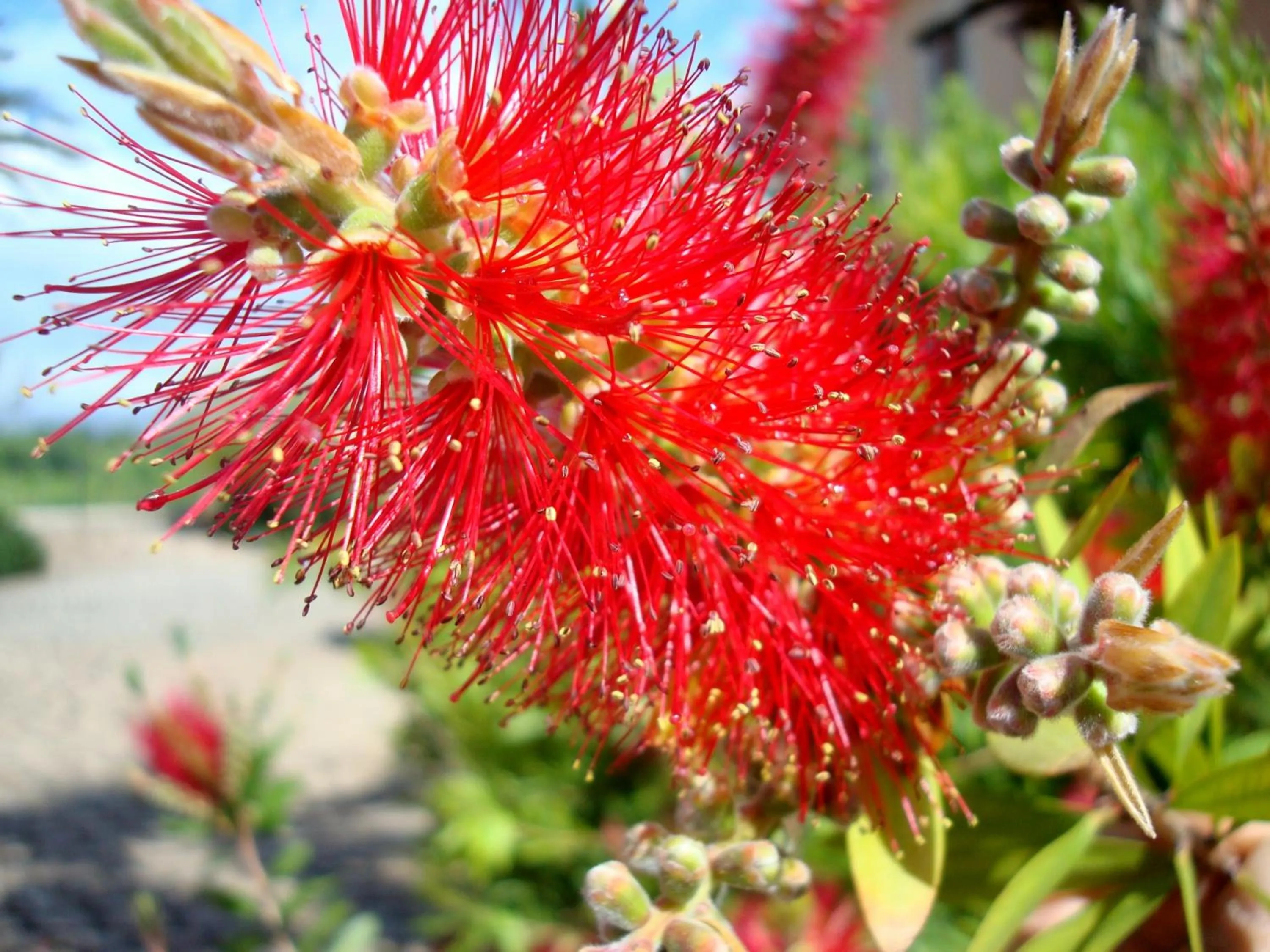Decorative detail in Petit Hotel Alaro