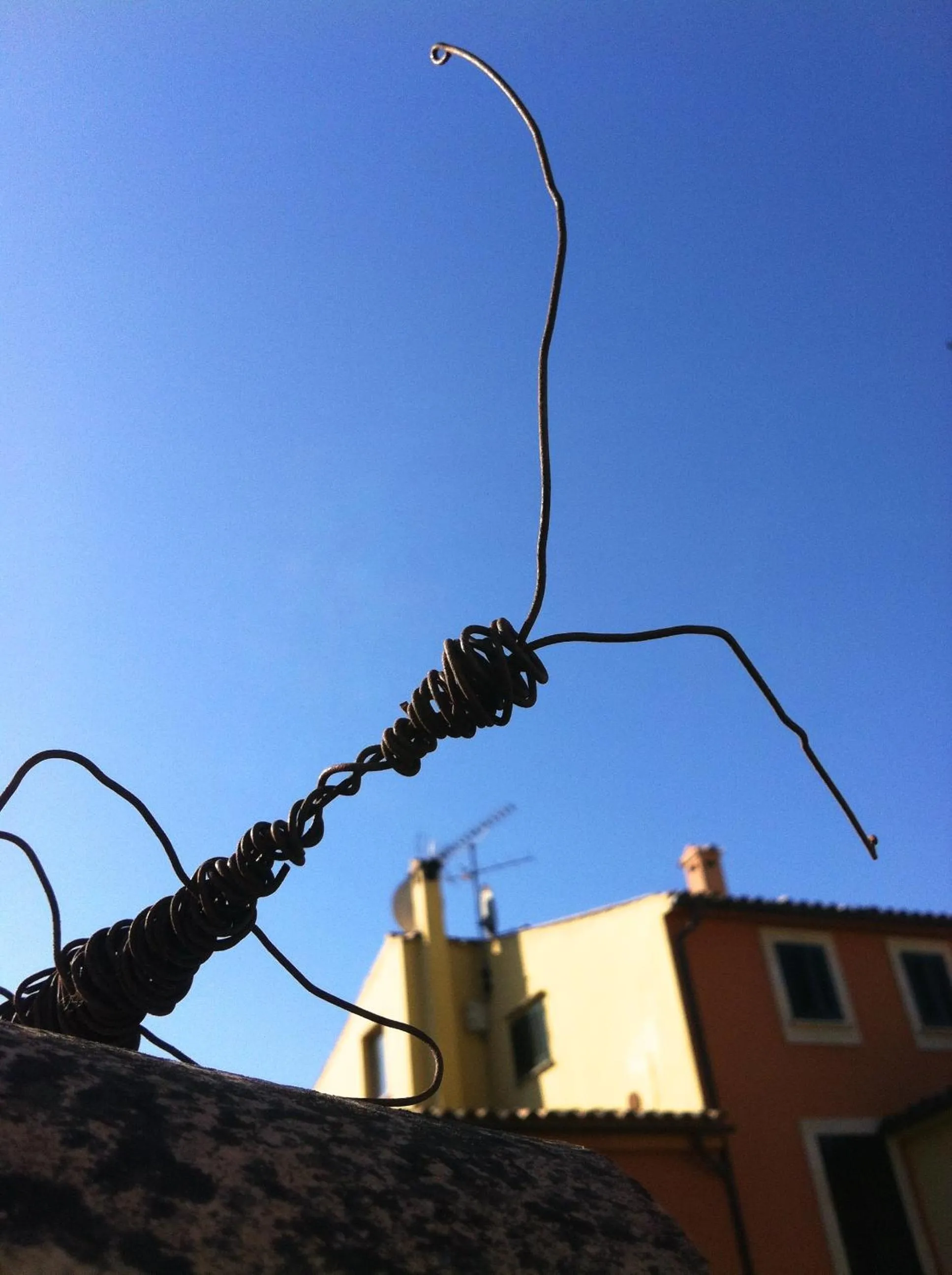Garden in Petit Hotel Alaro