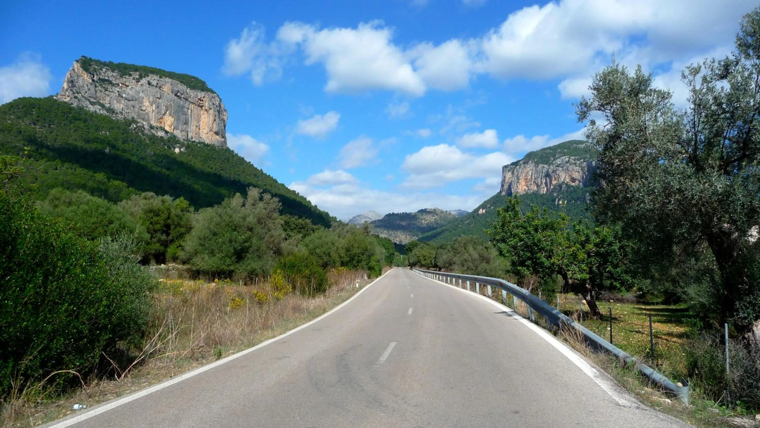 Area and facilities in Petit Hotel Alaro