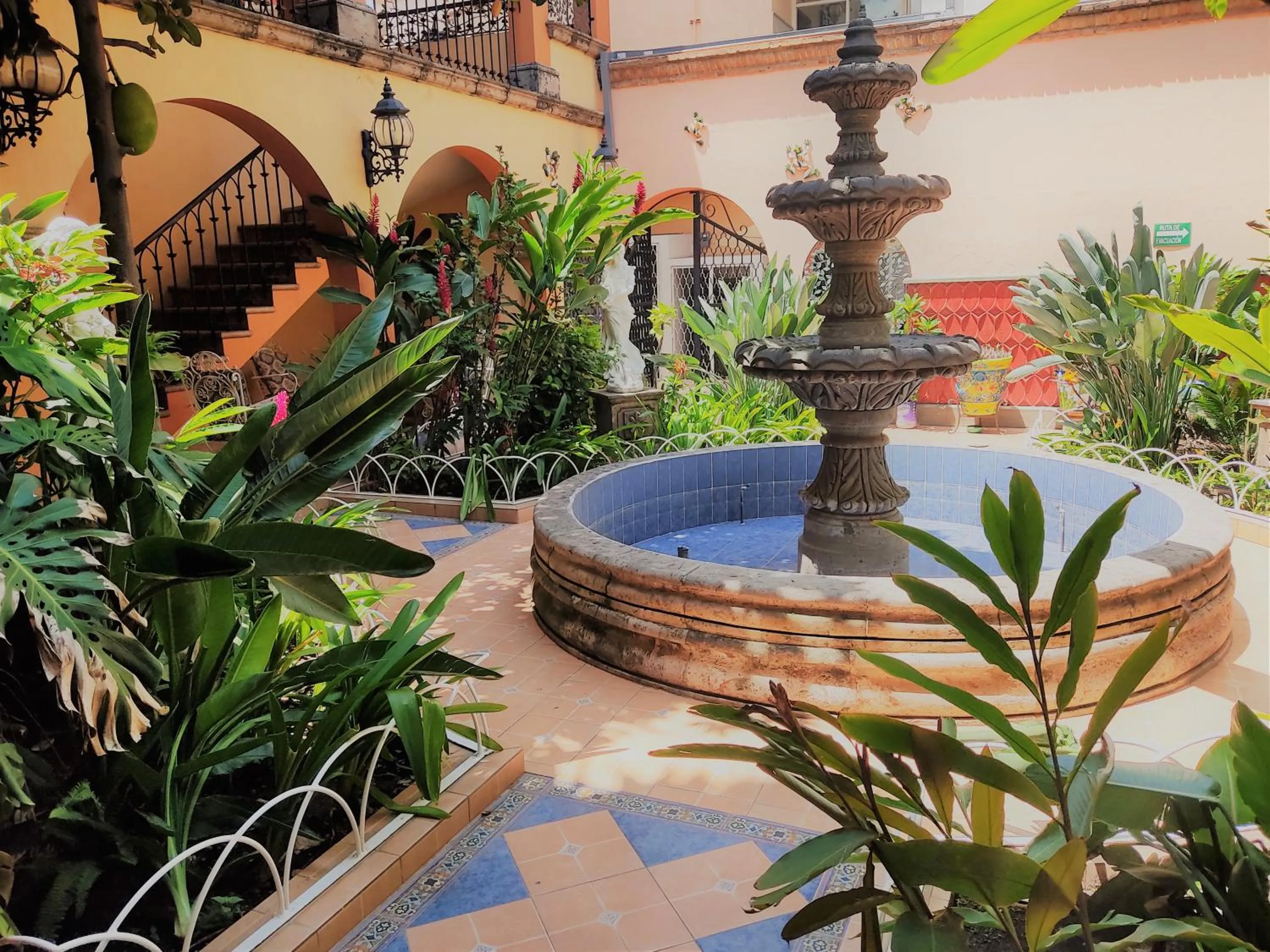 Garden in Hotel Casa La Gran Señora