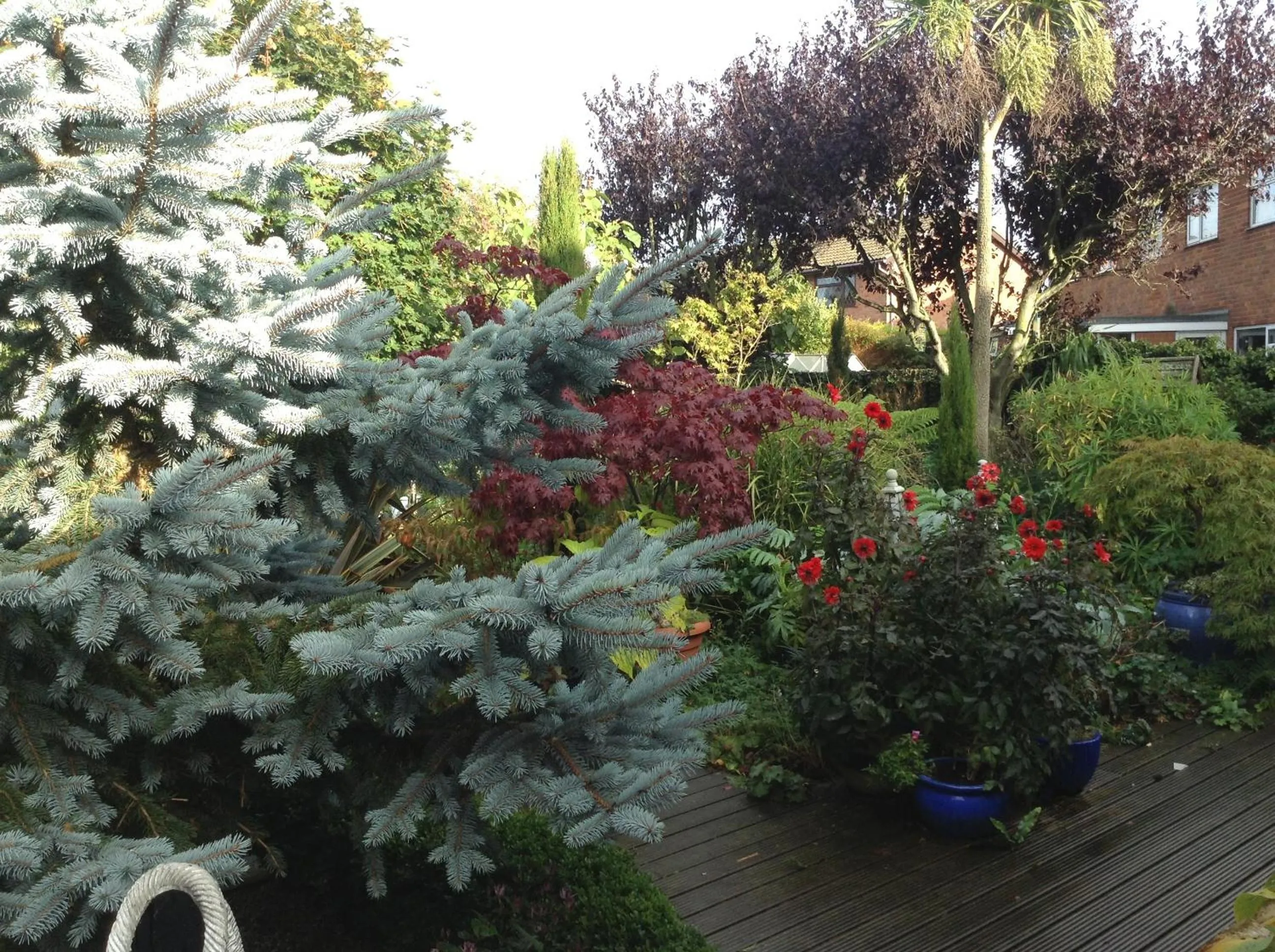 Patio in The Peels B&B