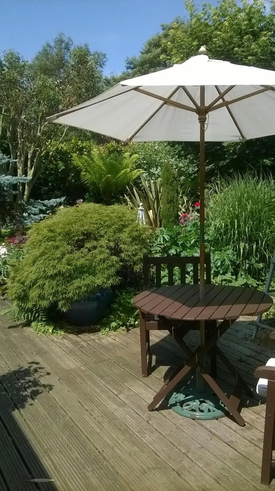 Garden in The Peels B&B