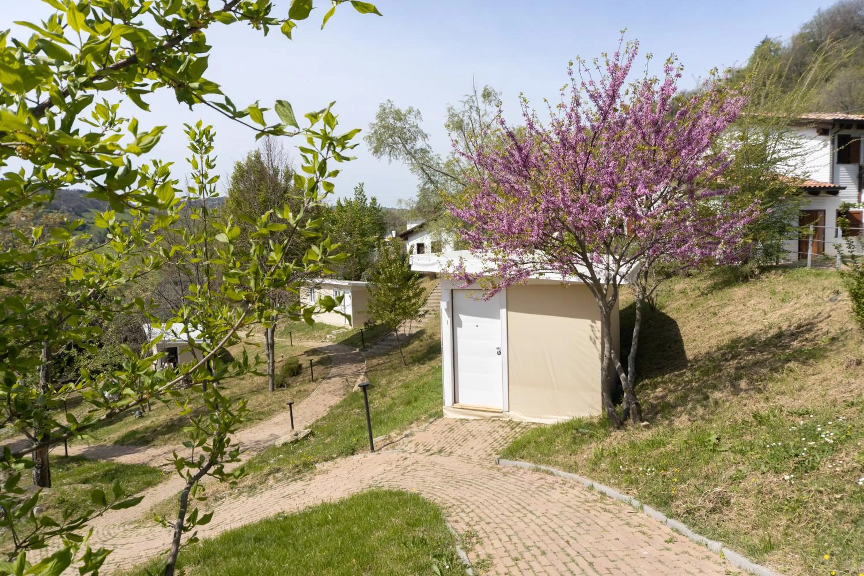 View (from property/room) in La Valle Dei Caprioli Village Bungalow Park - Freelandia Azienda Agricola