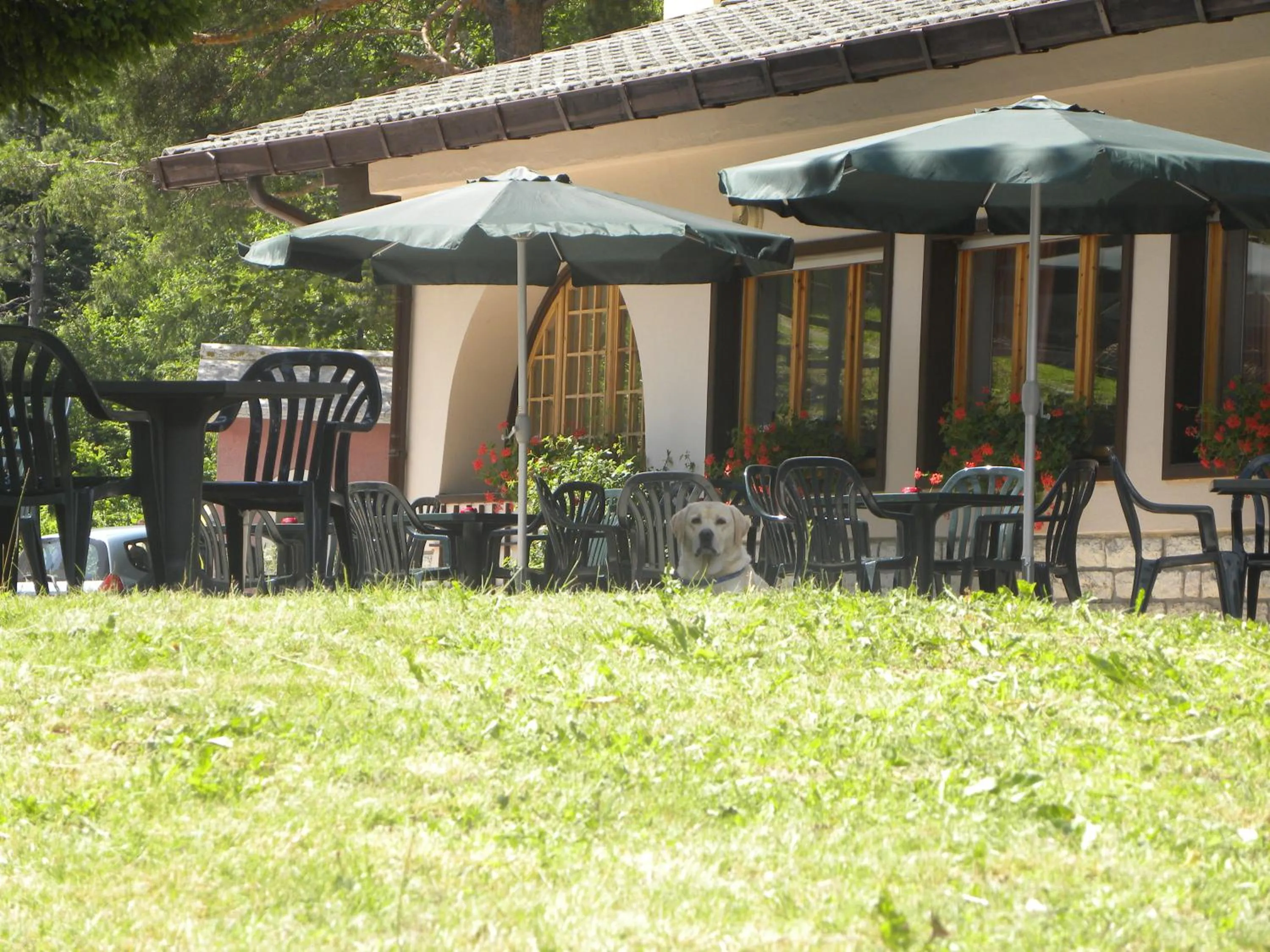 Balcony/Terrace in Life Hotels Des Alpes