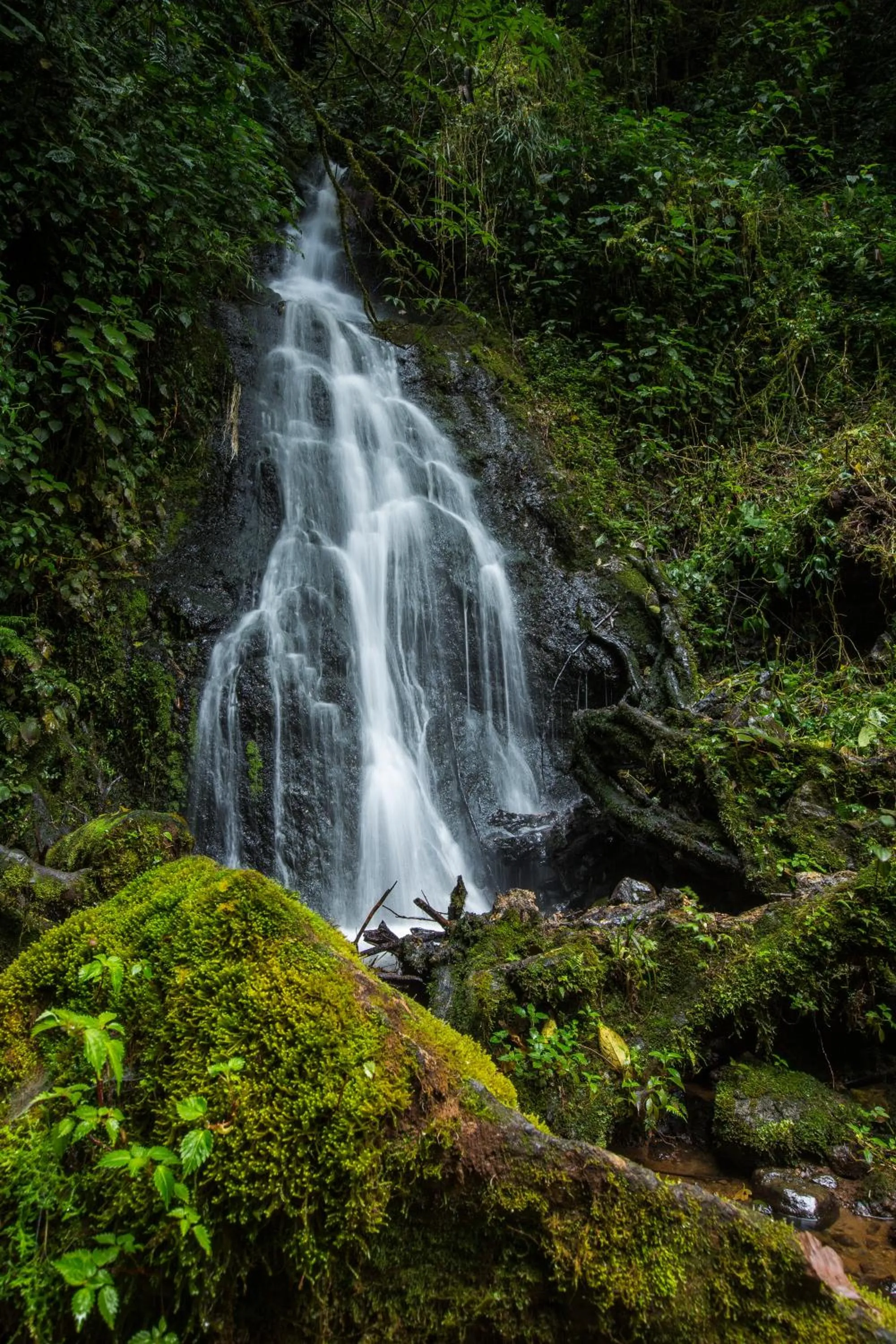 Natural landscape in Paraíso Quetzal Lodge