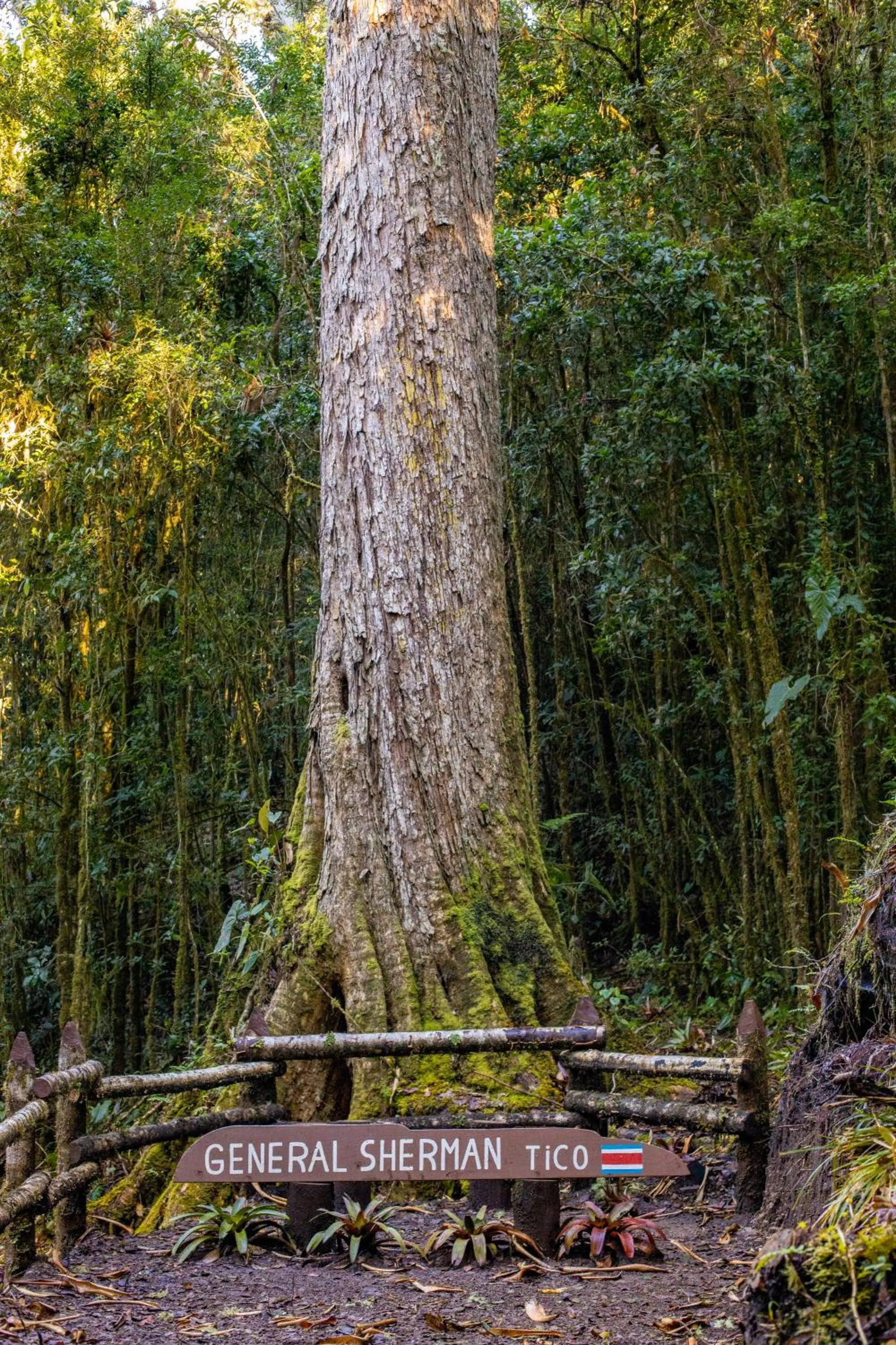 Hiking in Paraíso Quetzal Lodge