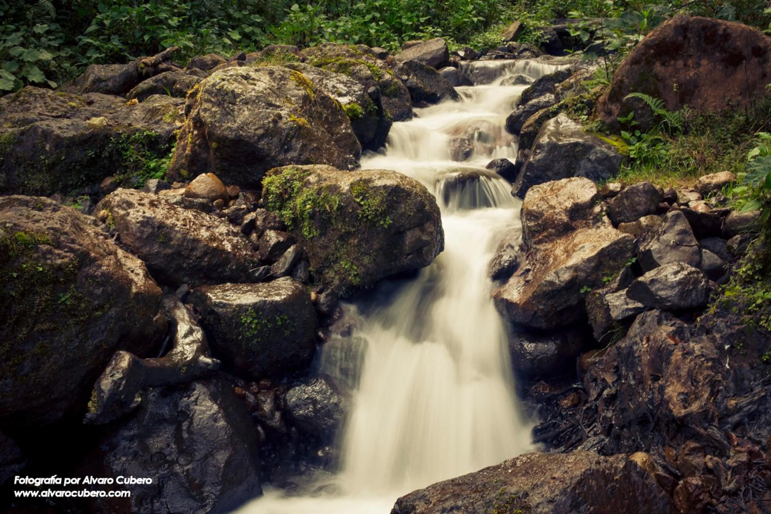 Natural landscape in Paraíso Quetzal Lodge