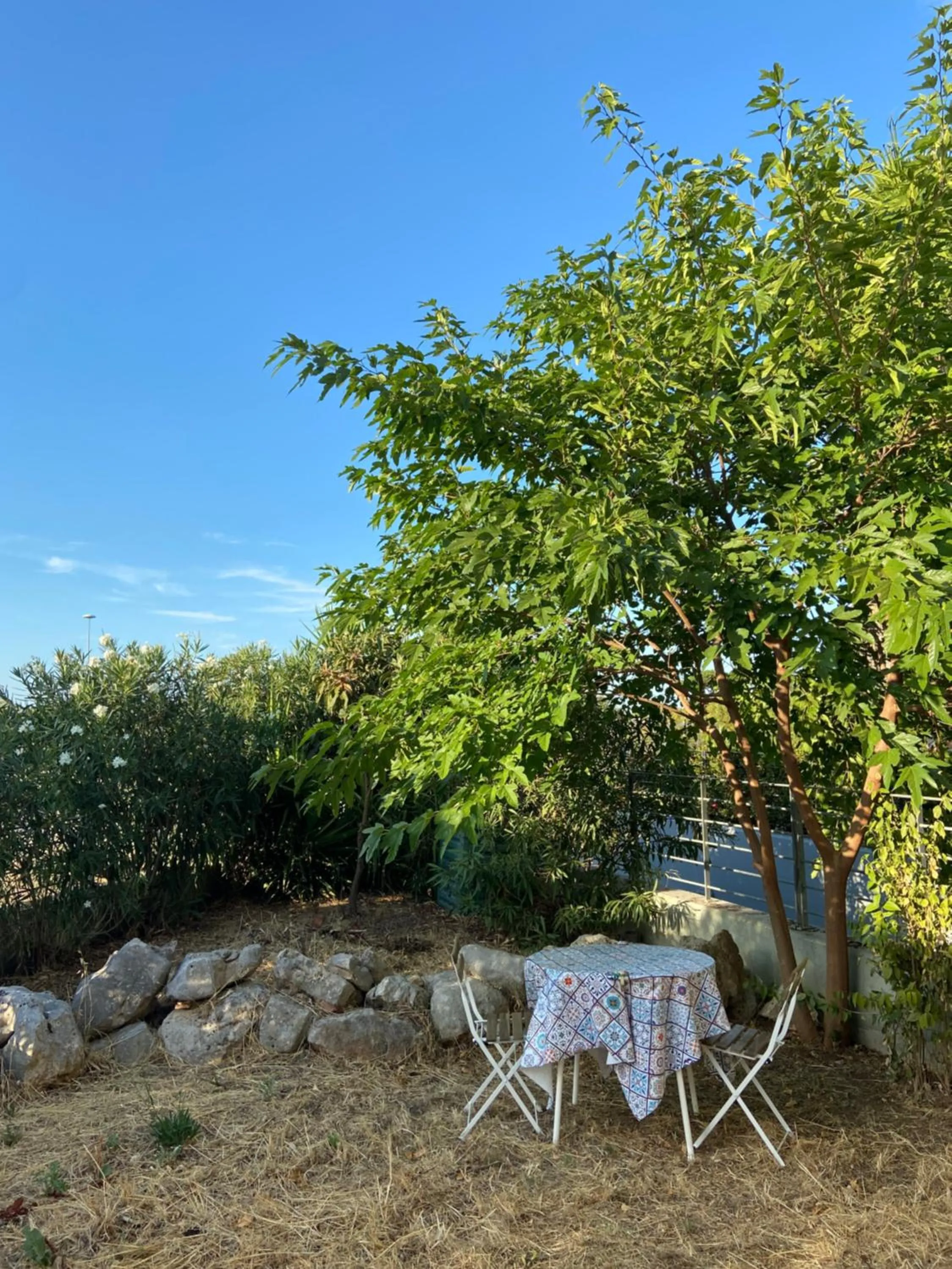 Garden in Bed and Breakfast Gaia