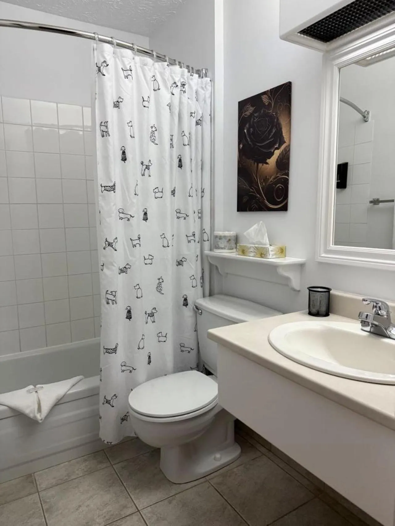 Shower in Auberge MicKy Inc