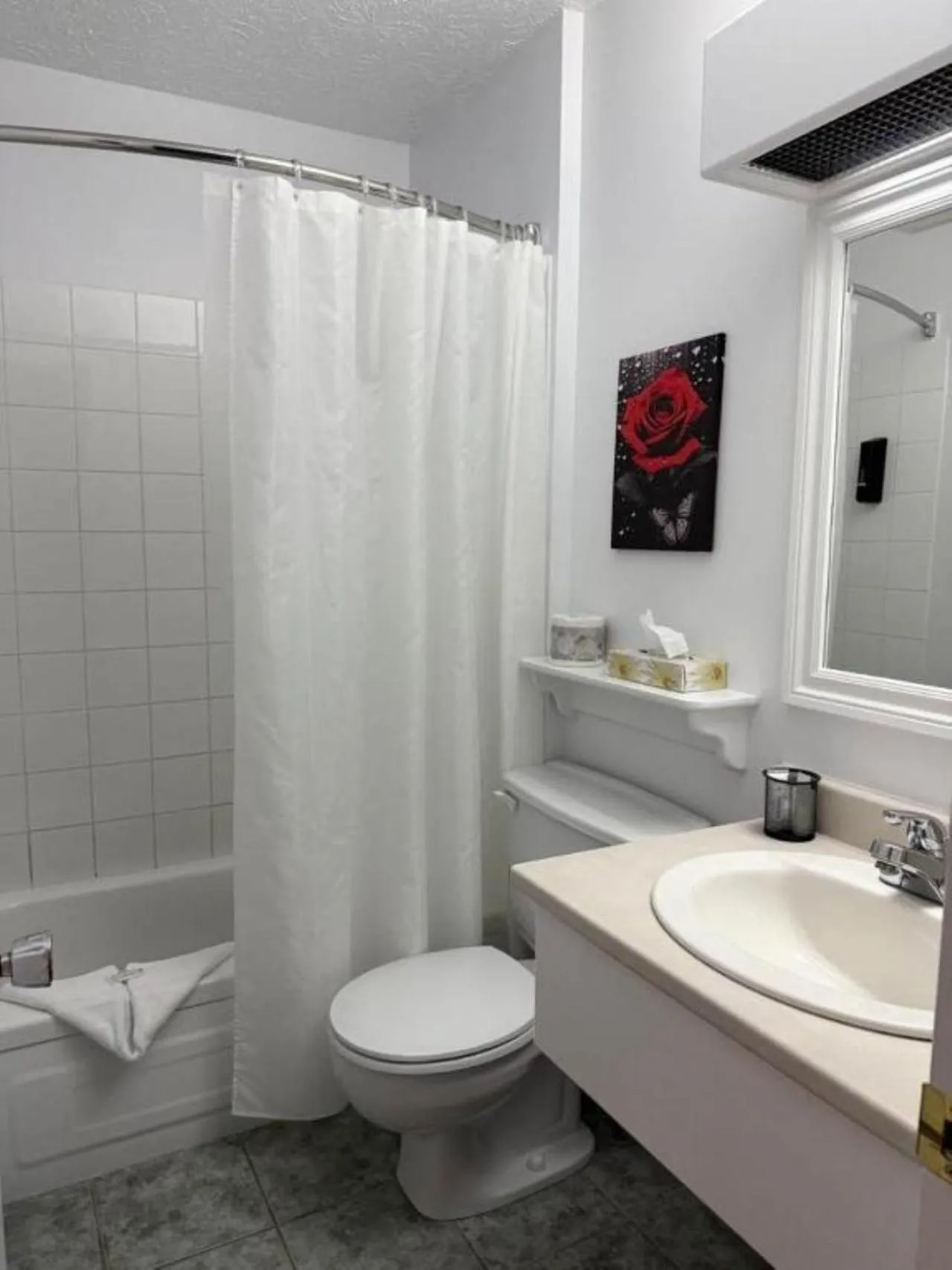 Shower in Auberge MicKy Inc