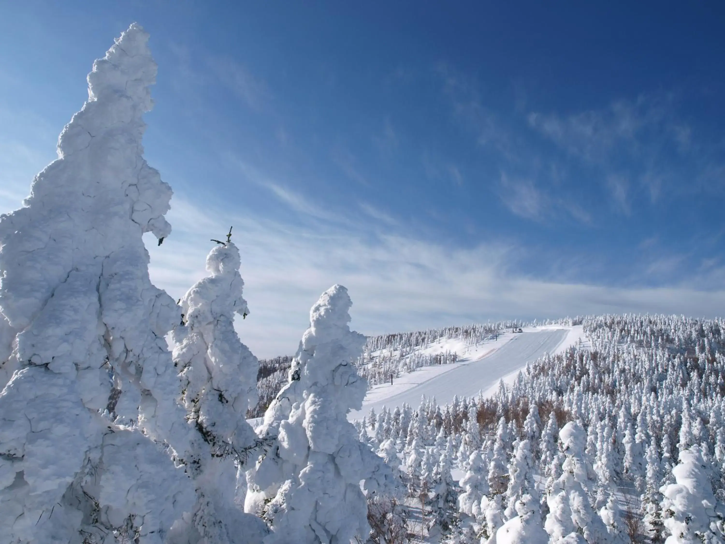 Nearby landmark, Winter in Hotel Grand Phenix Okushiga