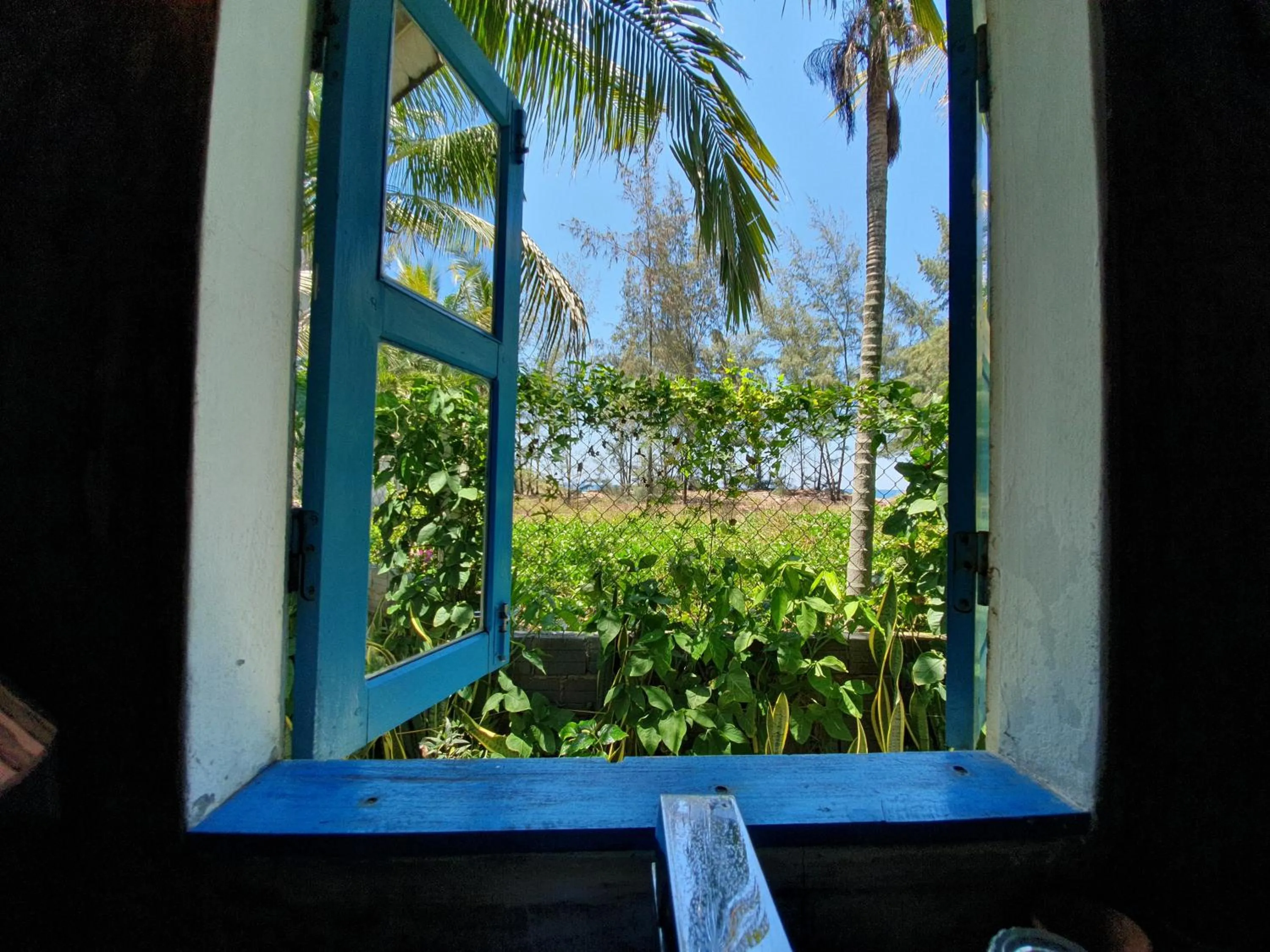 Garden view in An Bang Hideaway