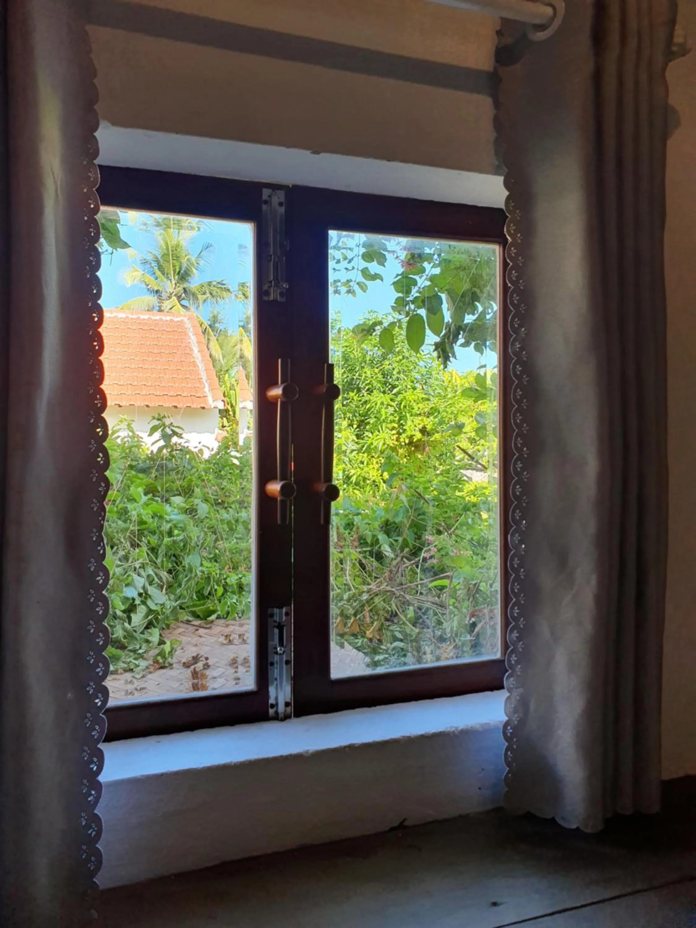 Garden view in An Bang Hideaway