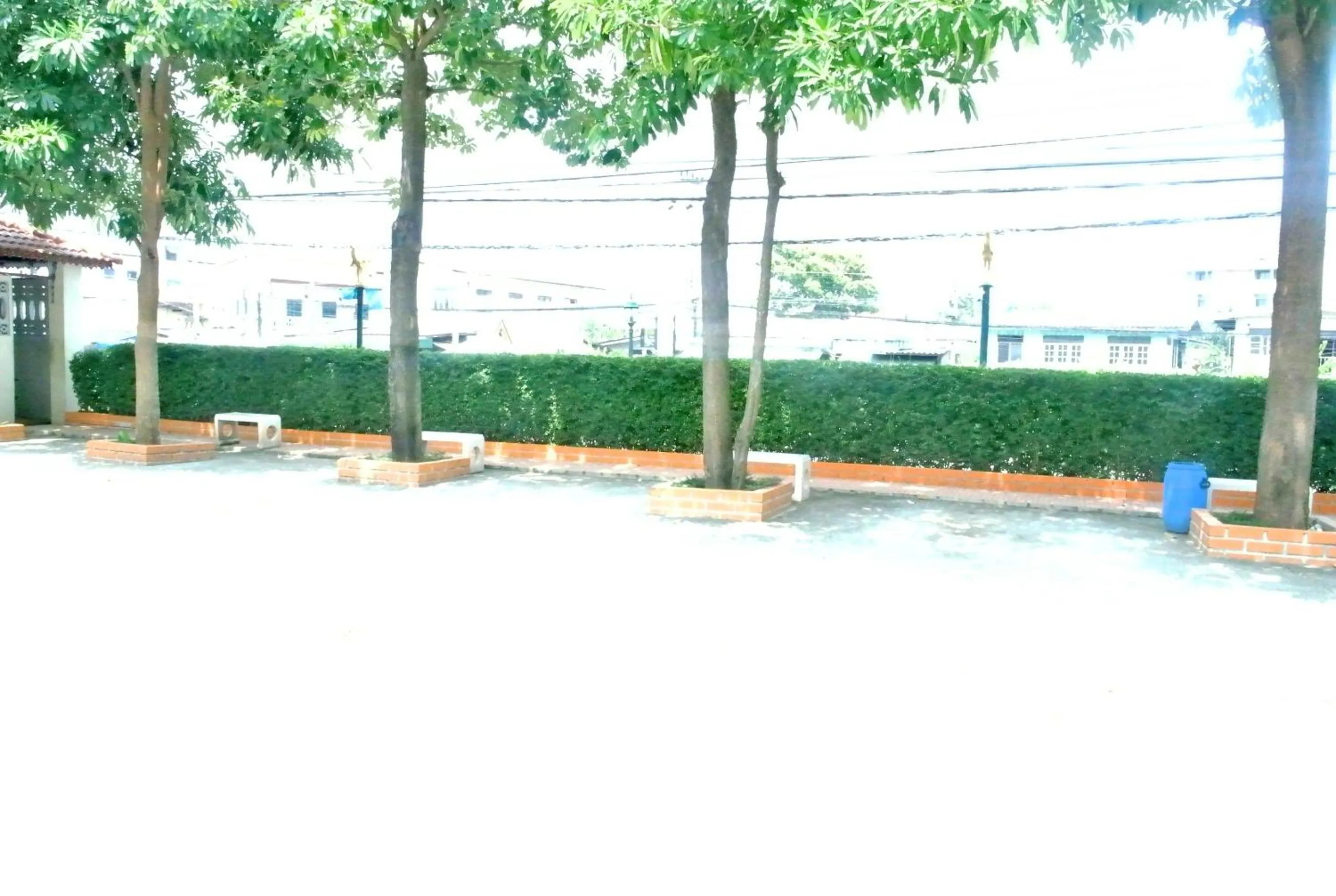 Area and facilities in Rose Garden Hotel