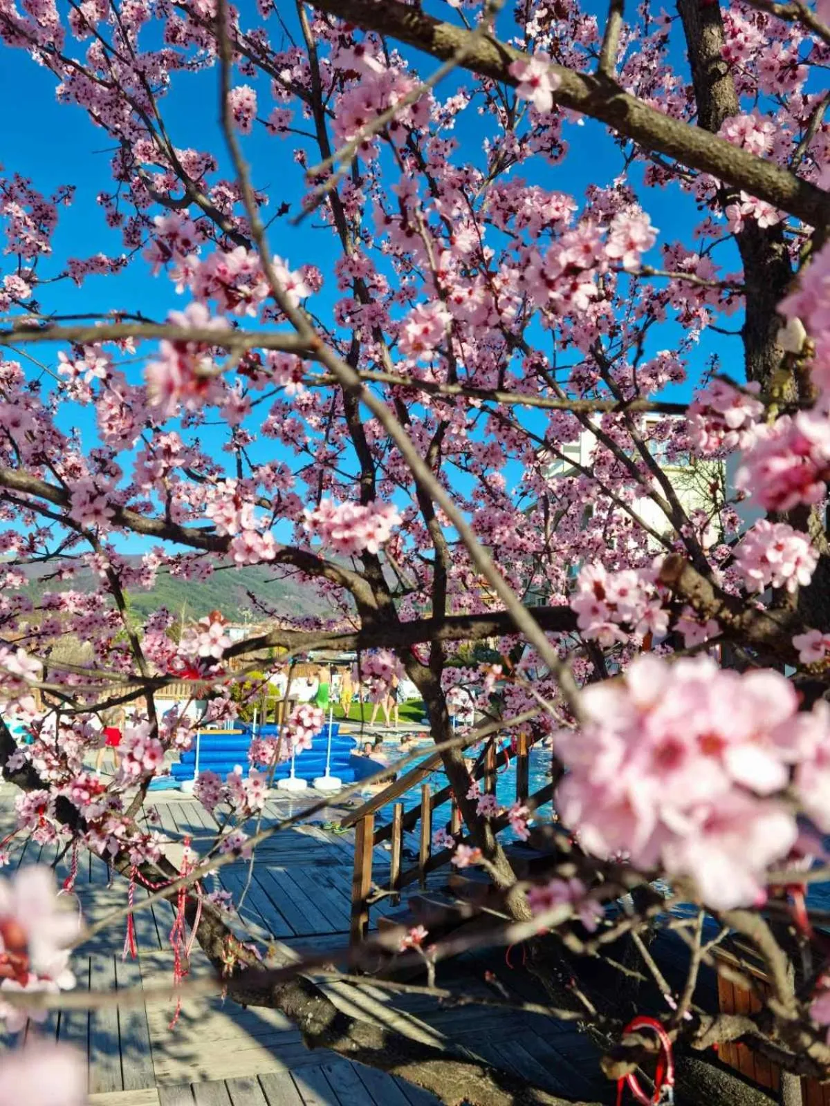 Spring in The Five Elements Hotel and SPA