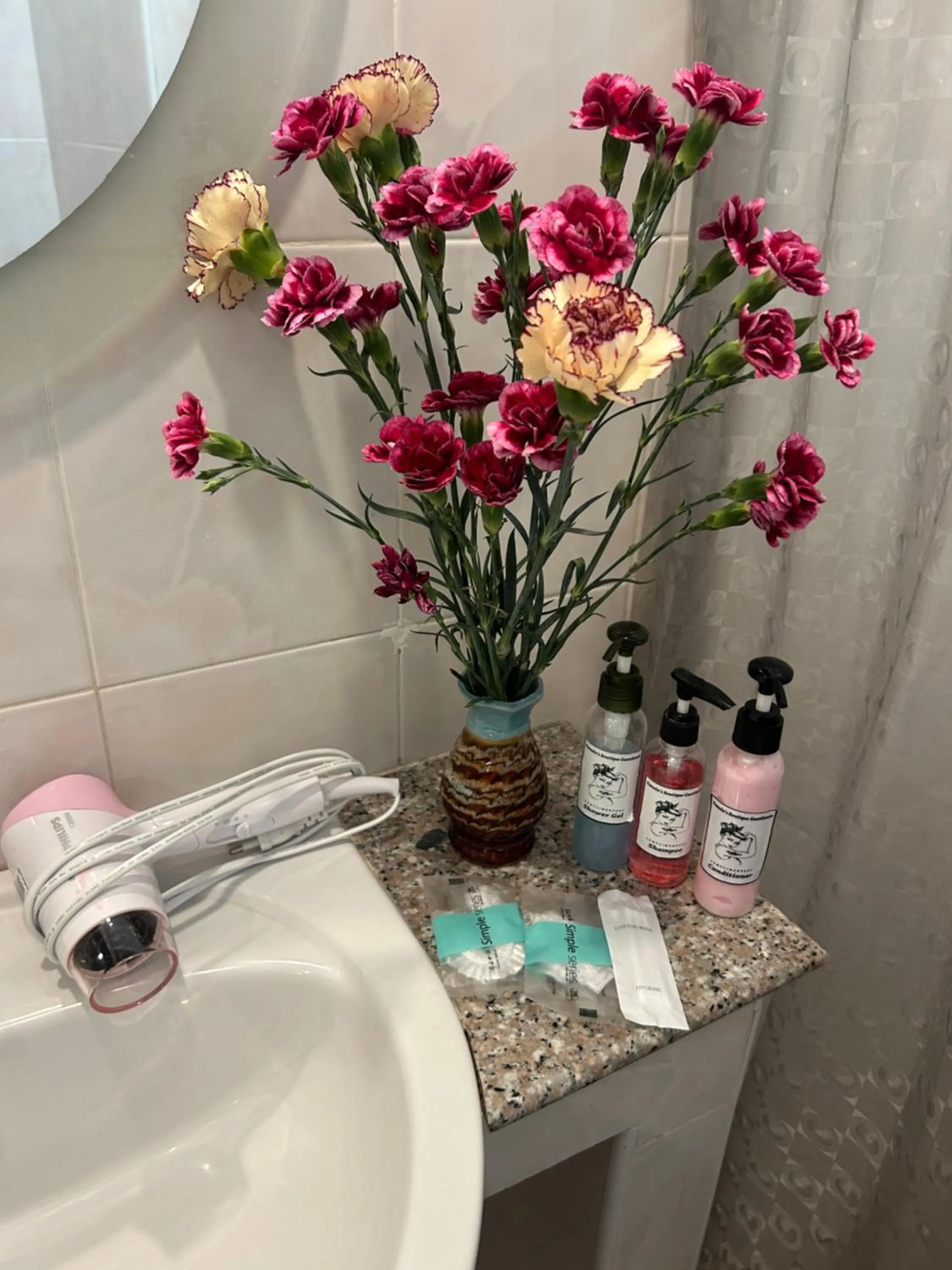 hair dryier in Kamala's Boutique Guesthouse