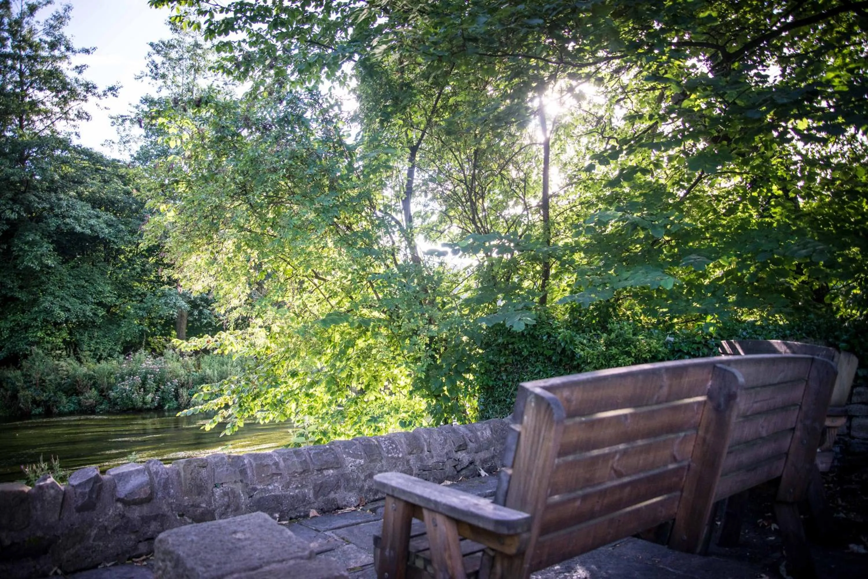 Garden in Rafters at Riverside House Hotel