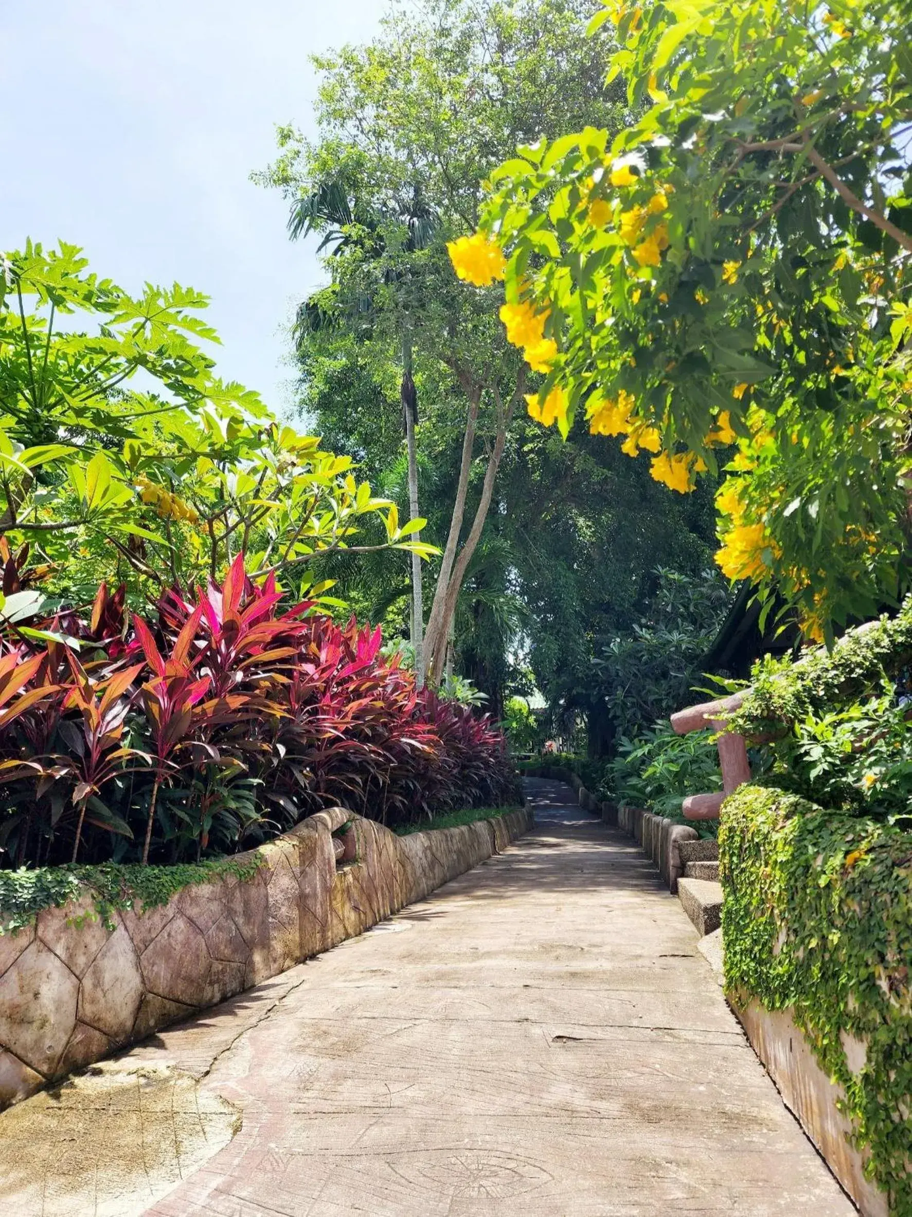 Garden view in Kata Garden Resort SHA Extra Plus Garden view in Kata Garden Resort SHA Extra Plus