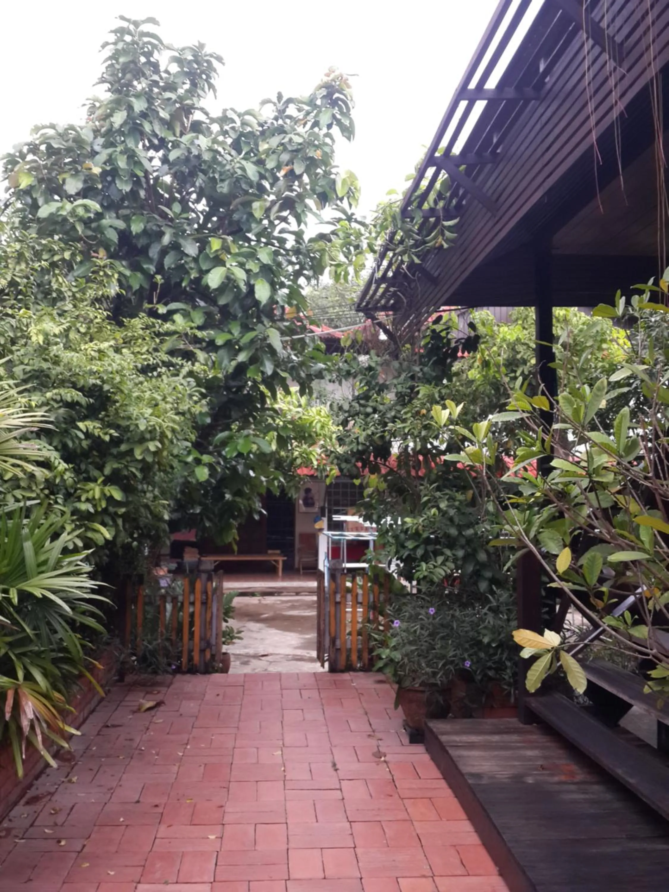 Day in Baan Kong Homestay