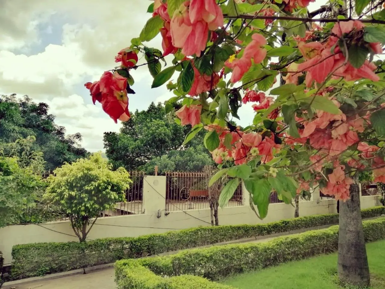 Natural landscape in Ganga Vatika Boutique Hotel, Rishikesh