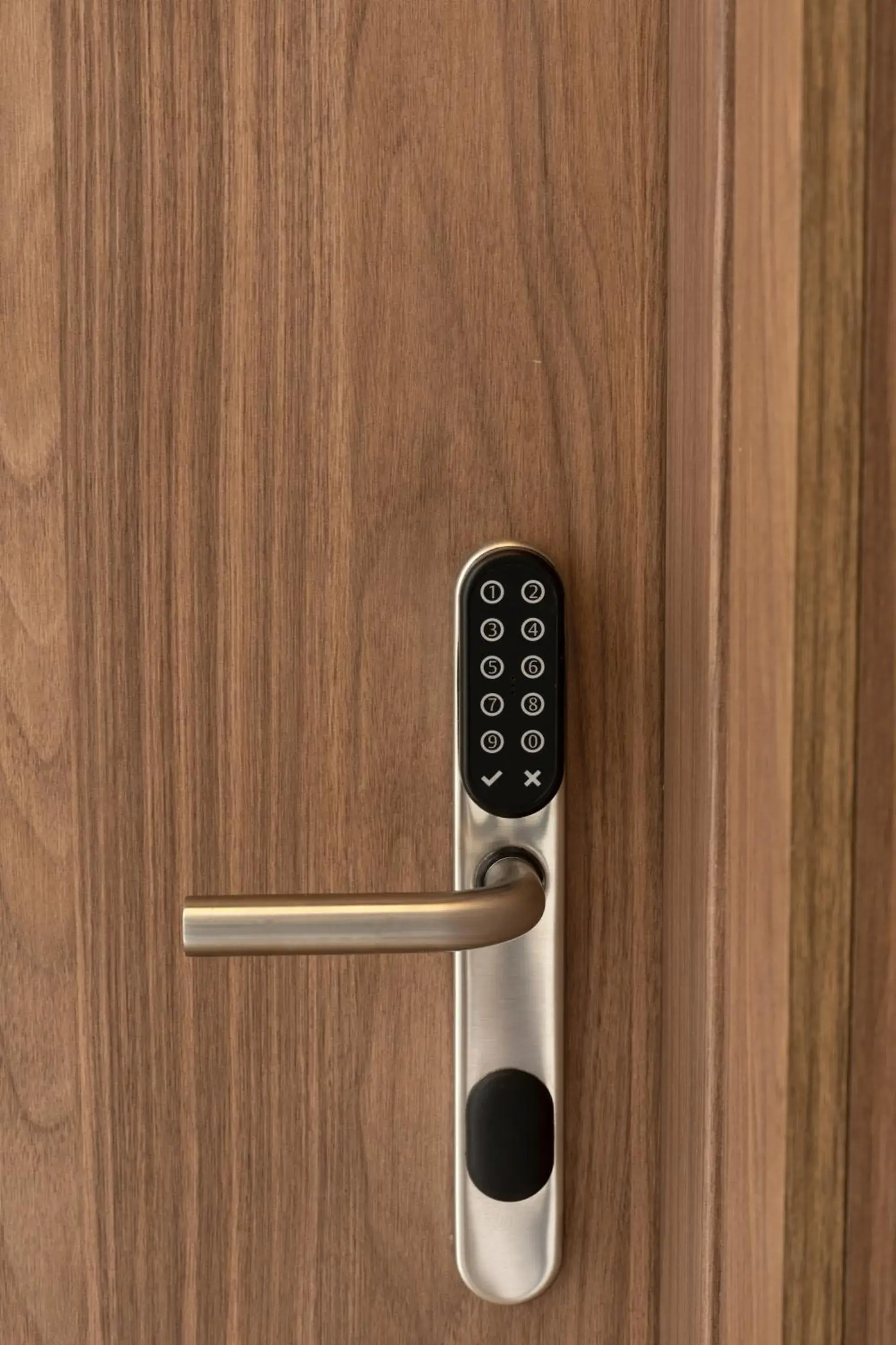 Decorative detail in Dau Studios Decorative detail in Dau Studios