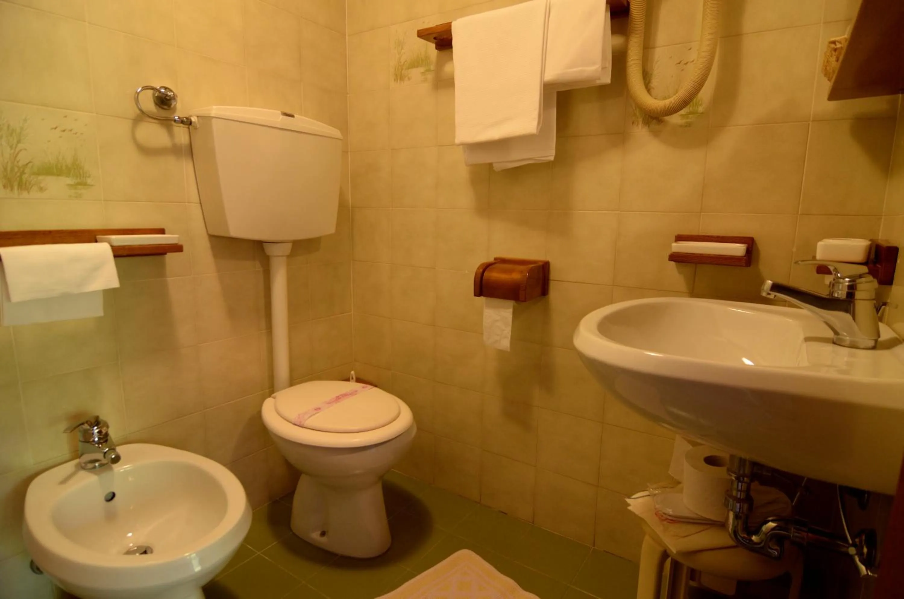 Toilet in Albergo Mirella
