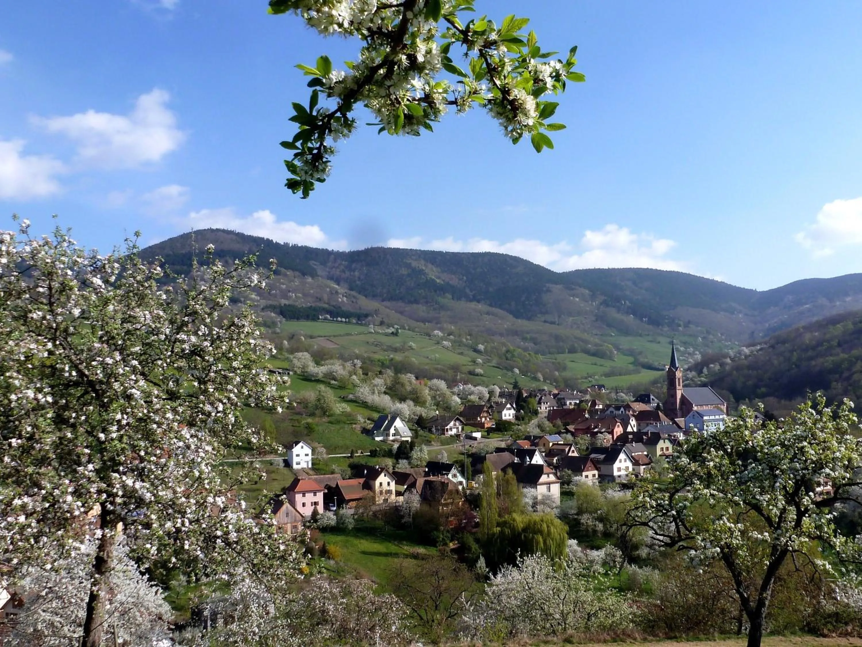 View (from property/room) in Maison d'hôtes La Cerisaie