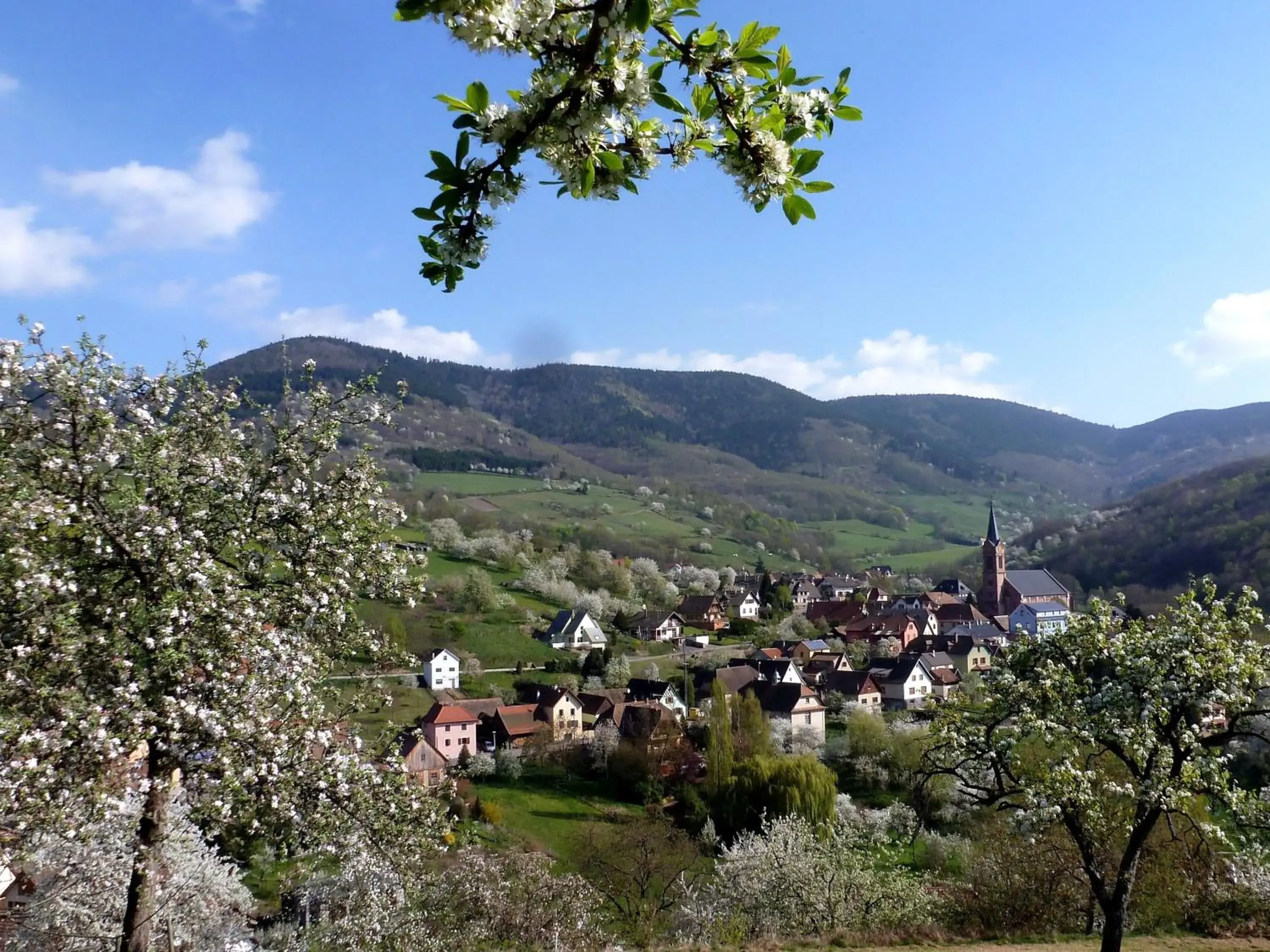 View (from property/room) in Maison d'hôtes La Cerisaie View (from property/room) in Maison d'hôtes La Cerisaie