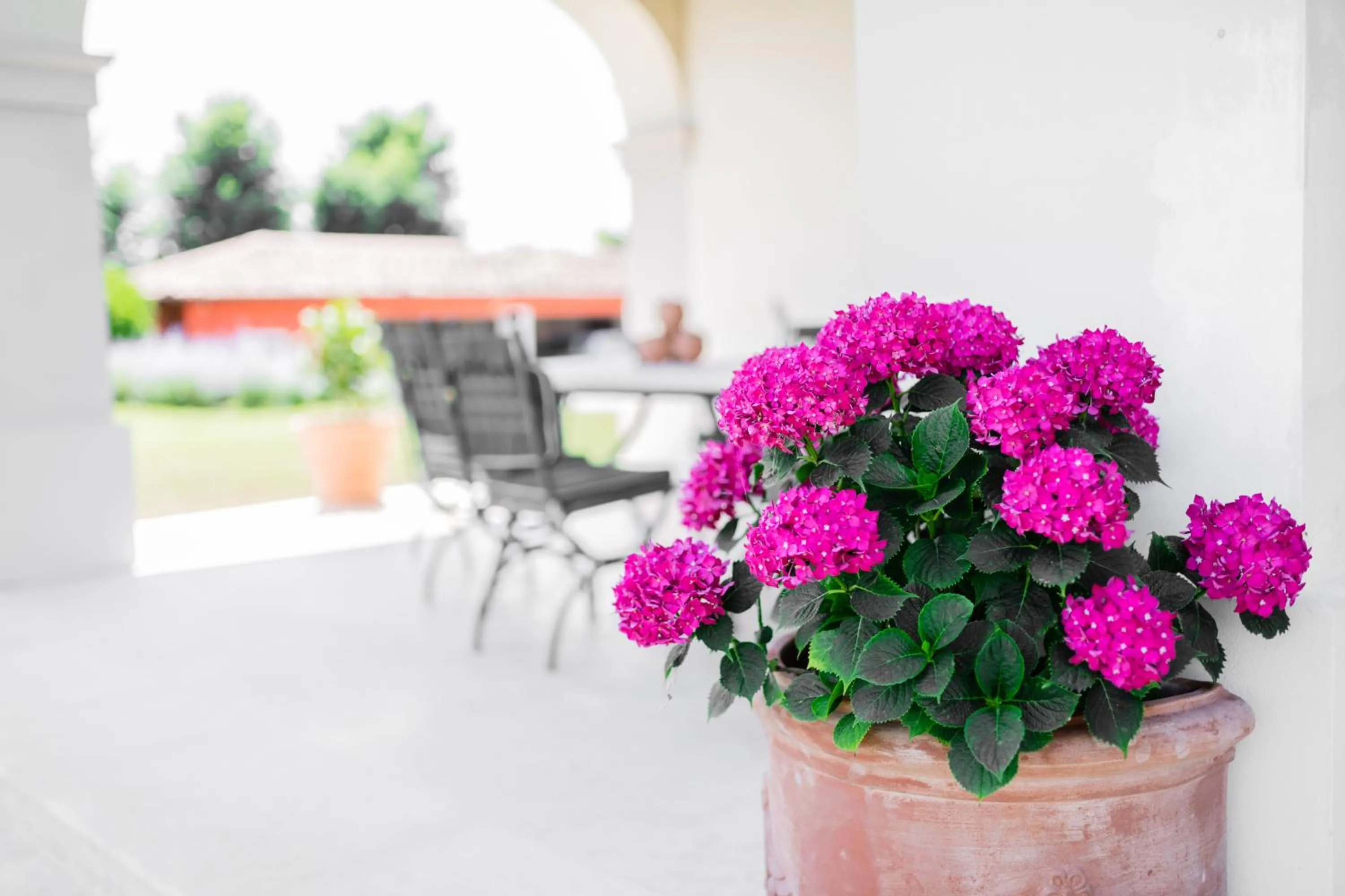 Patio in Villa San Pietro