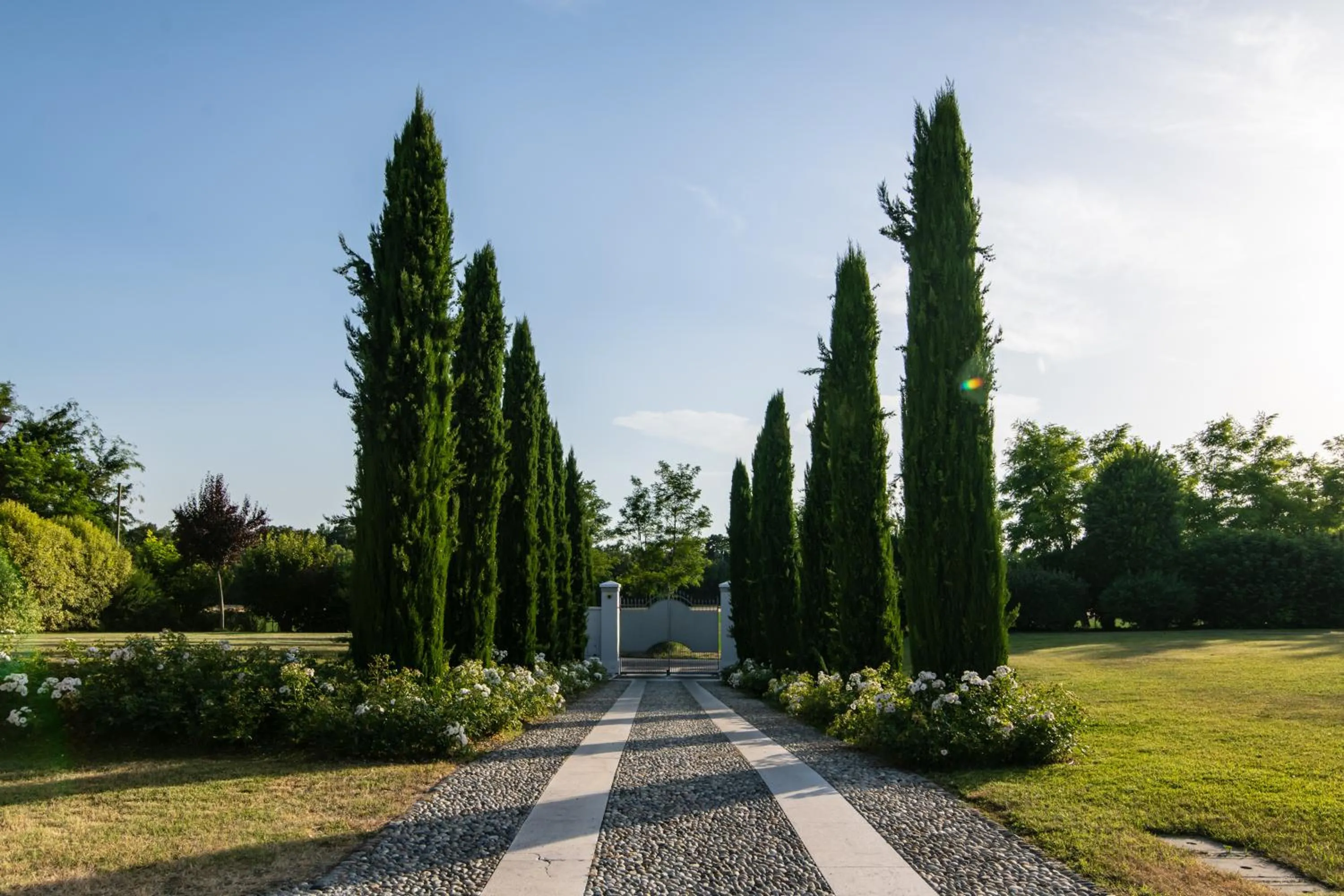 Garden in Villa San Pietro