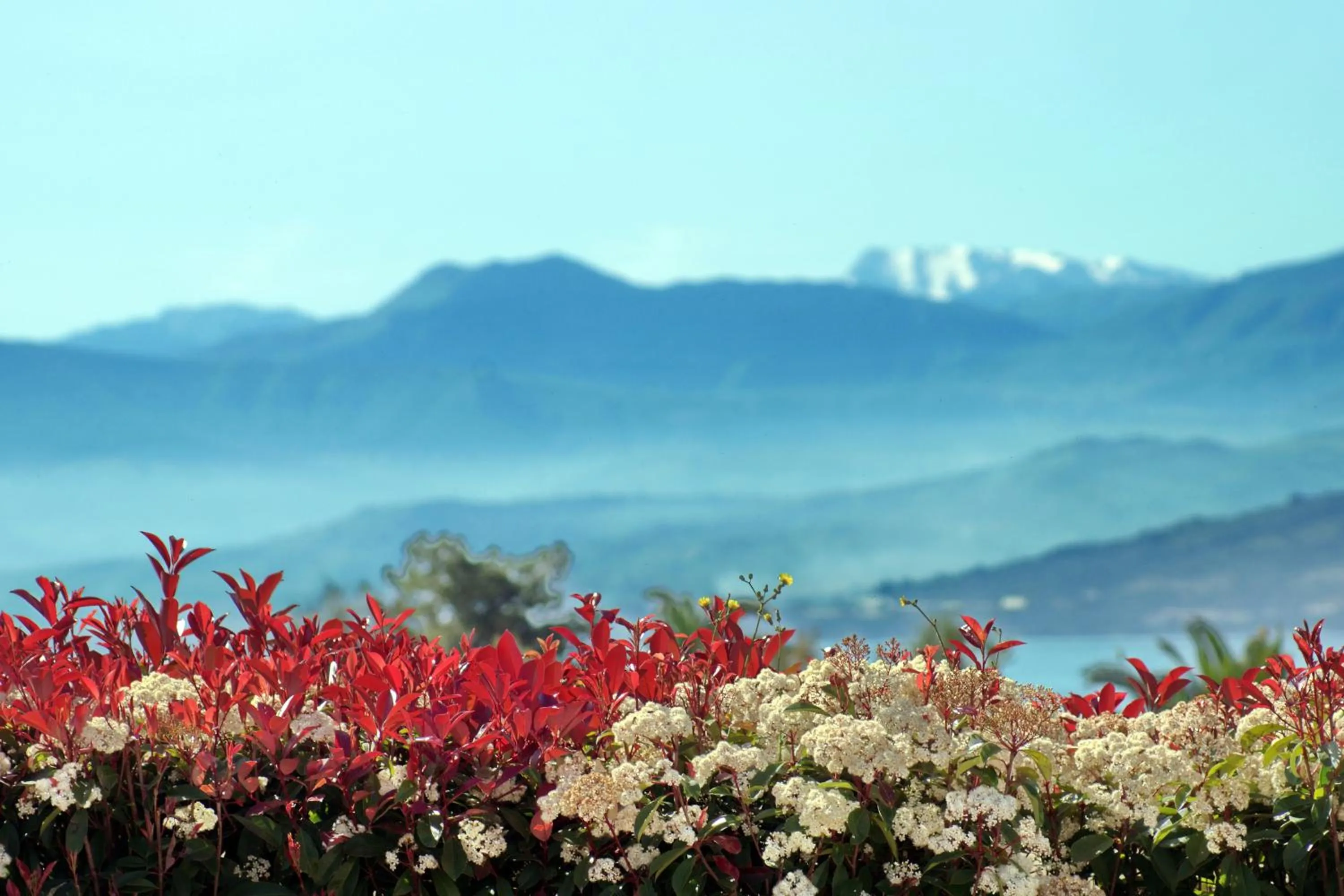 View (from property/room) in Cavos Fokidos
