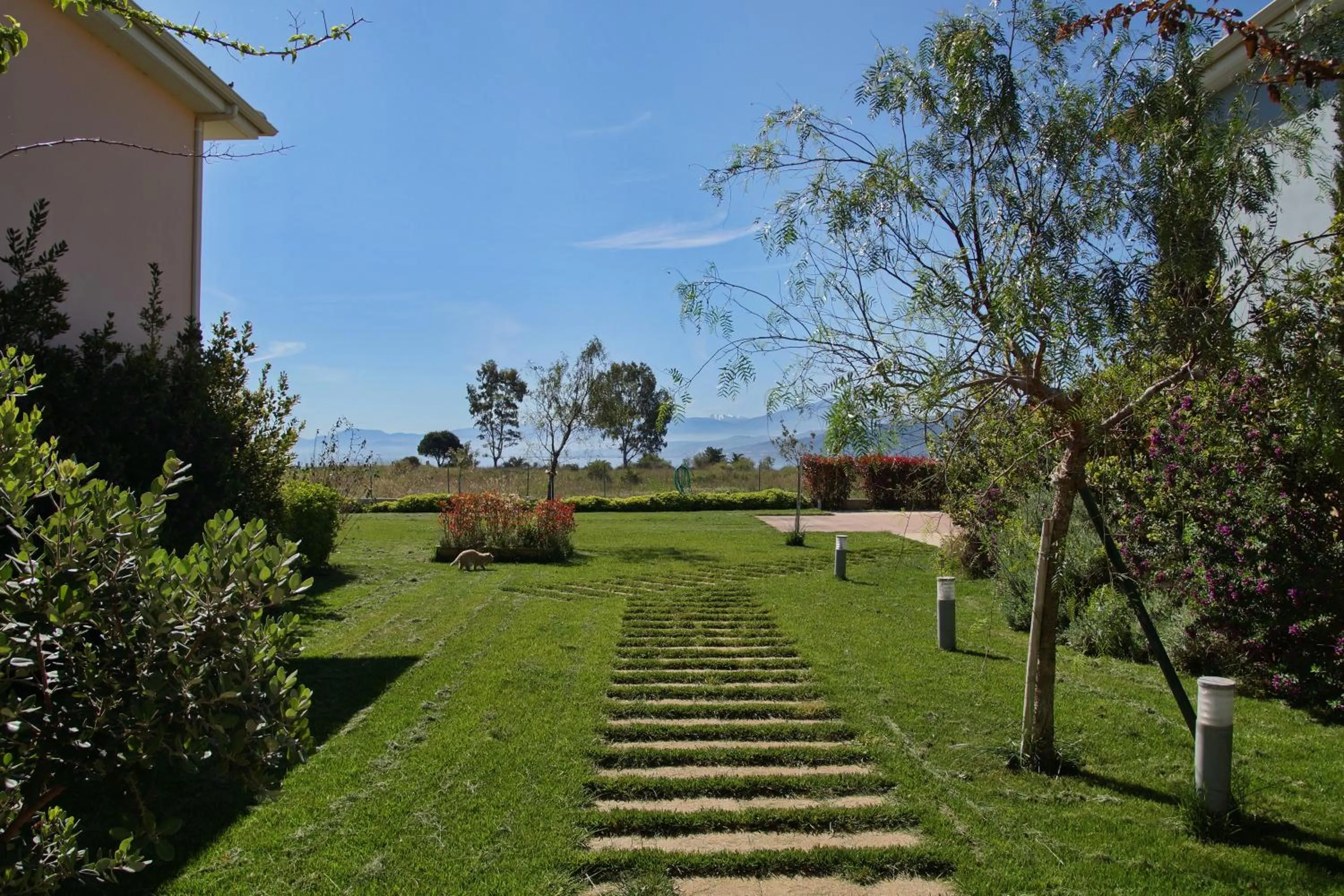 Garden in Cavos Fokidos