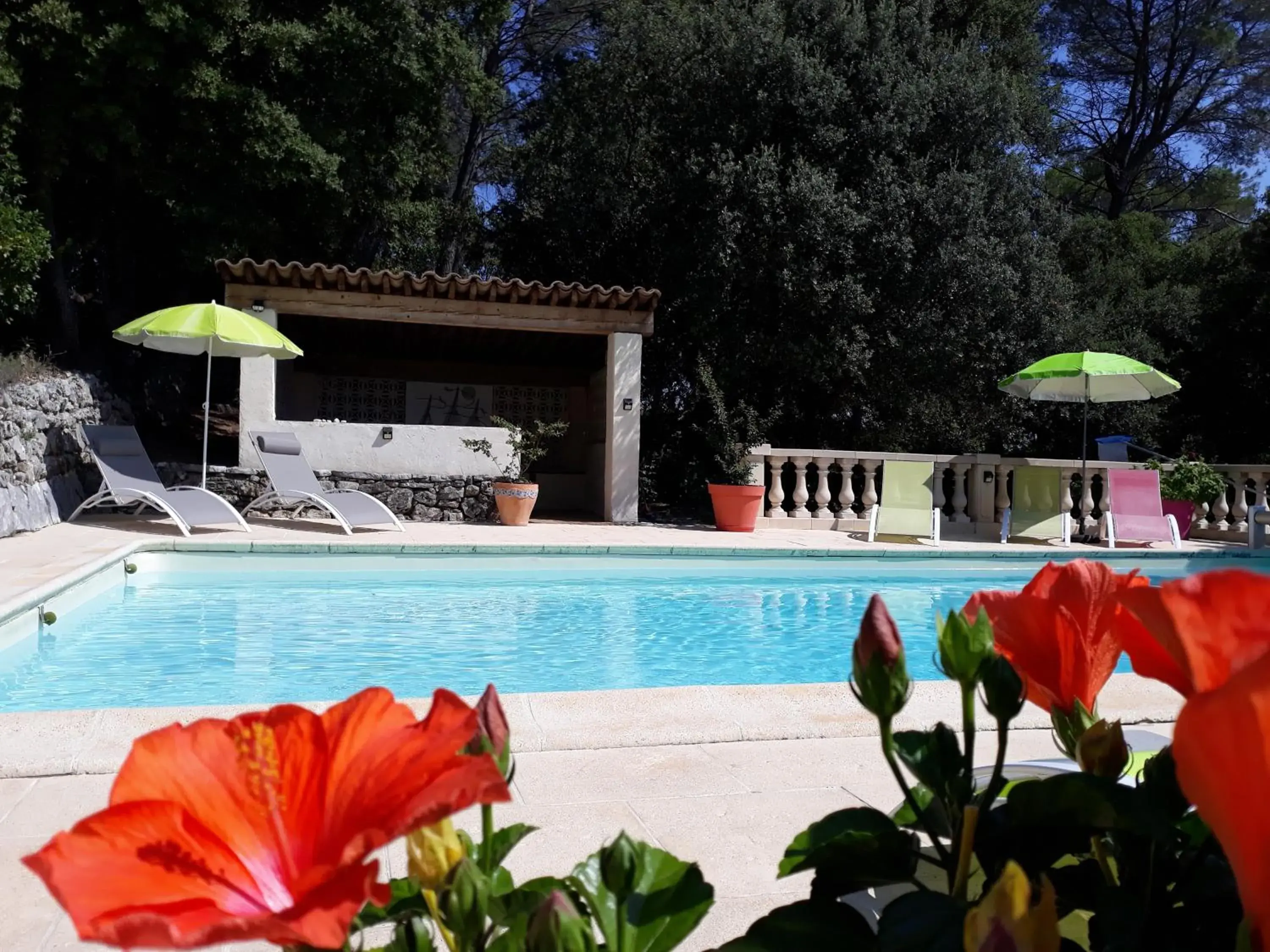 Le Mas des Hibiscus Le Mas des Hibiscus