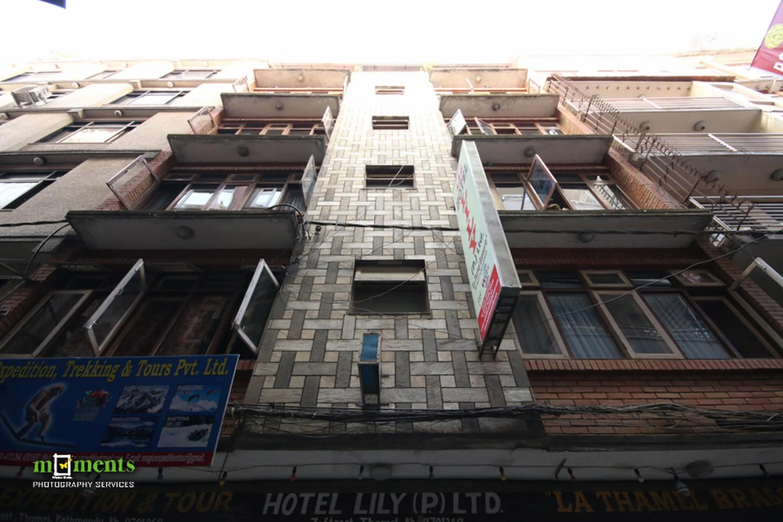 Garden in Hotel Lily