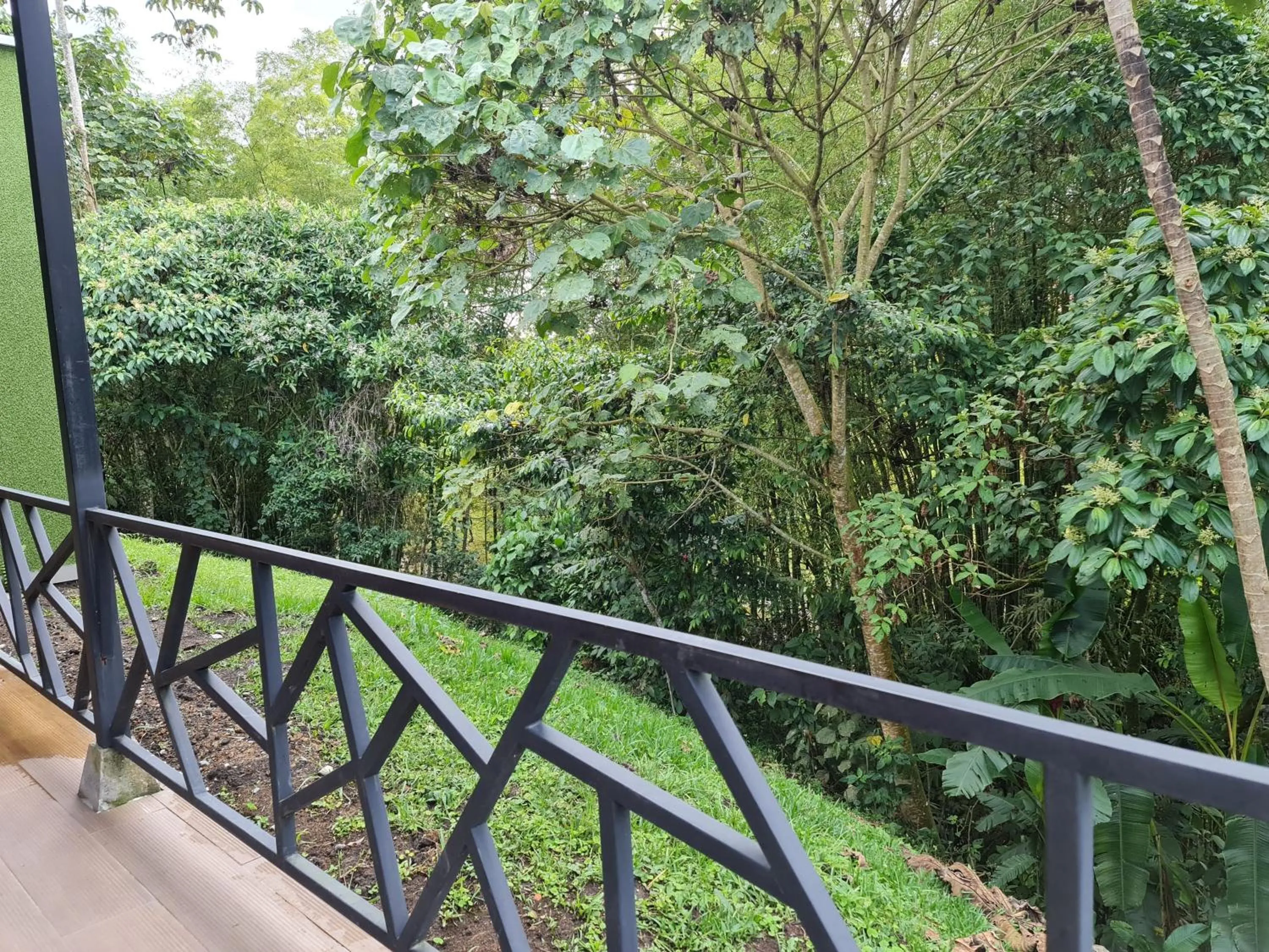 Balcony/Terrace in Casa Hotel Bremen