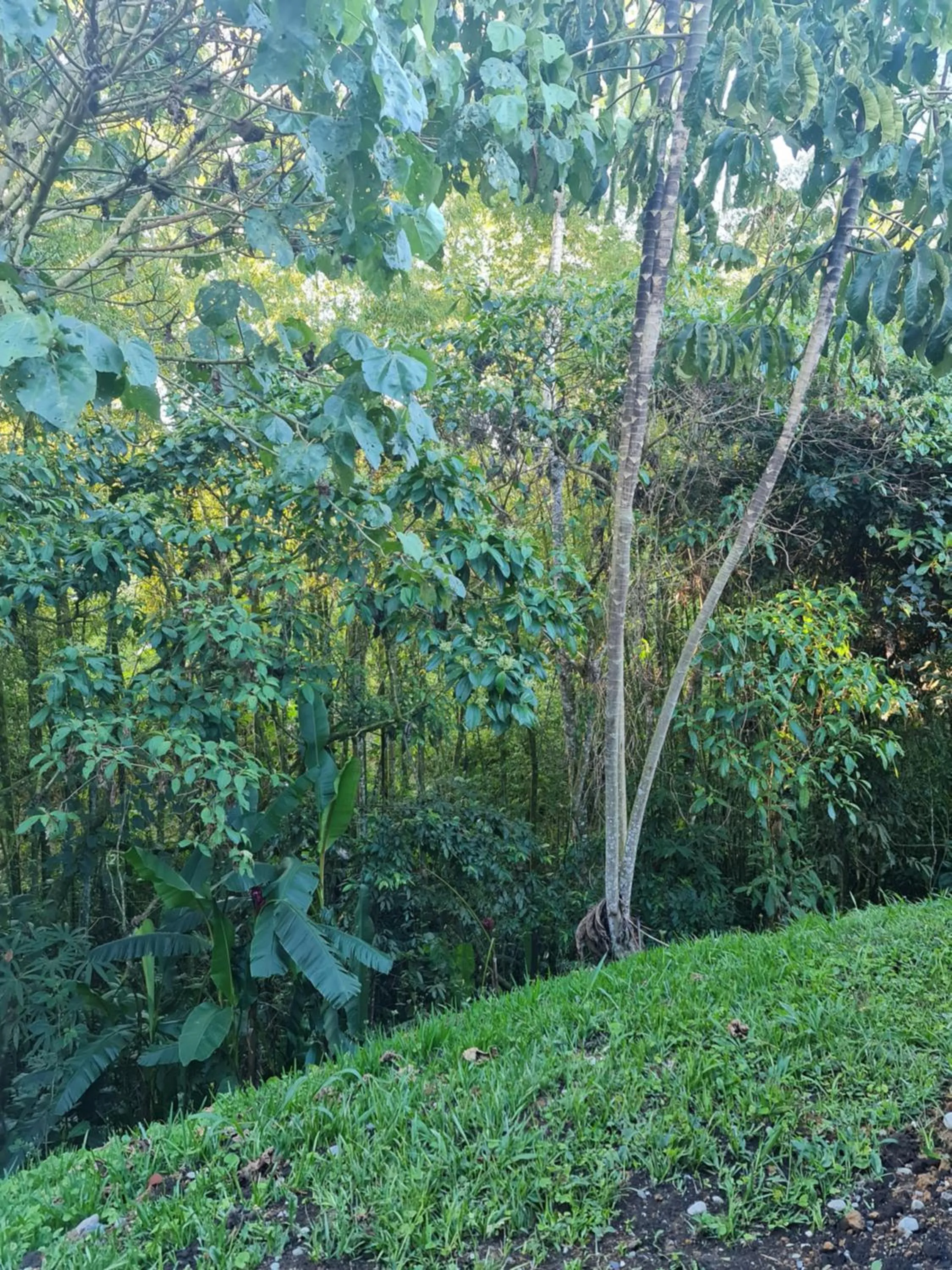 Area and facilities in Casa Hotel Bremen