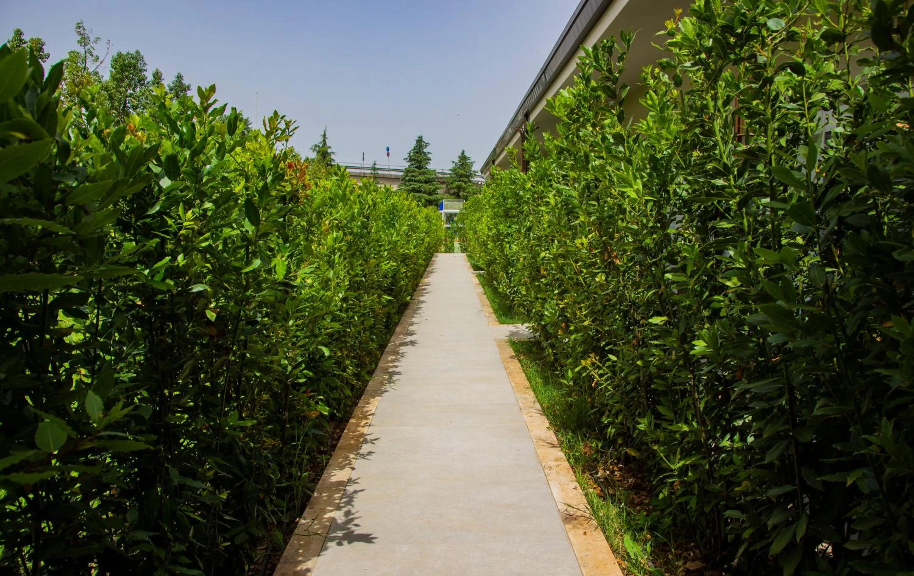 Garden in Kairos Resort & SPA