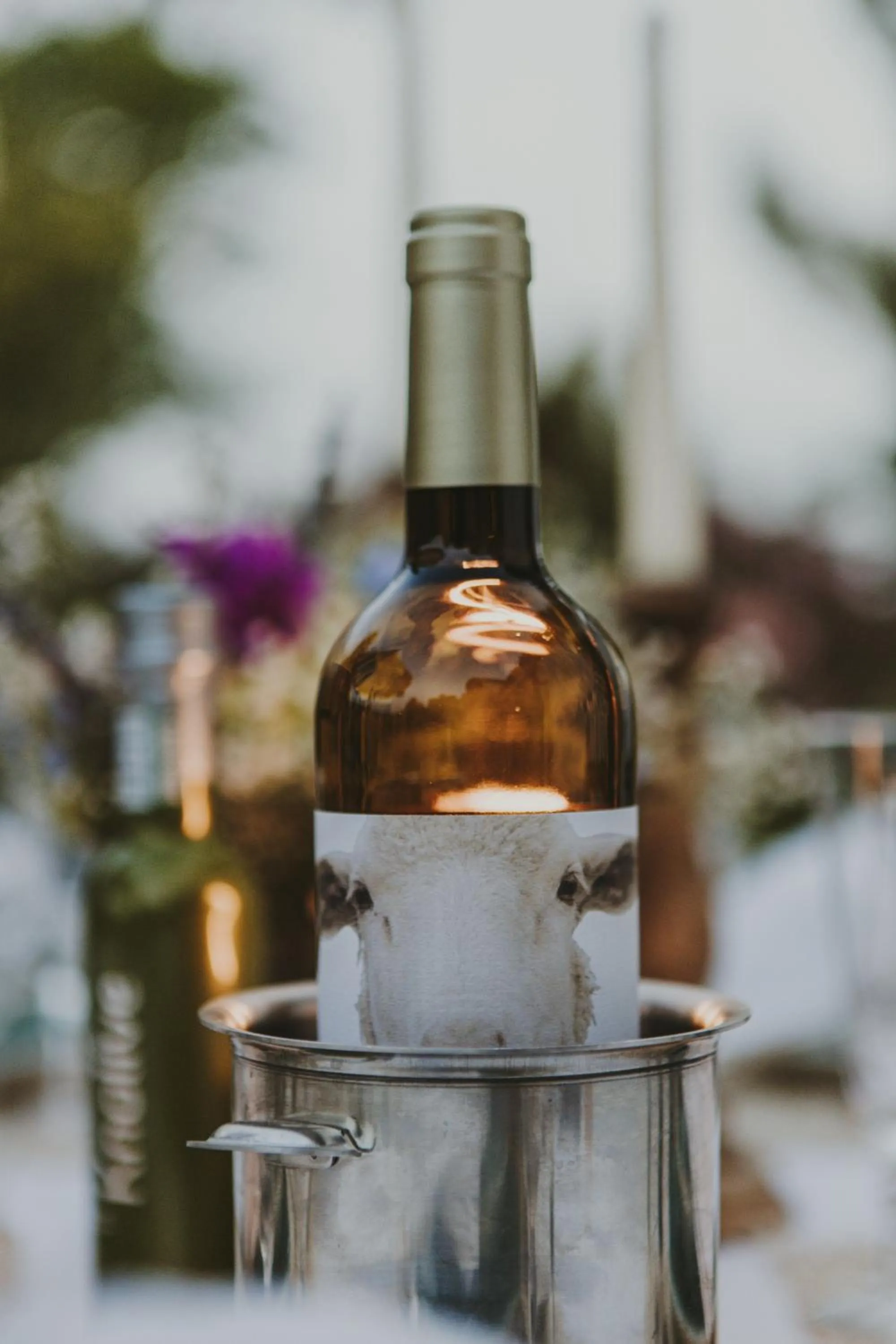 Dinner in Hacienda el Tarajal