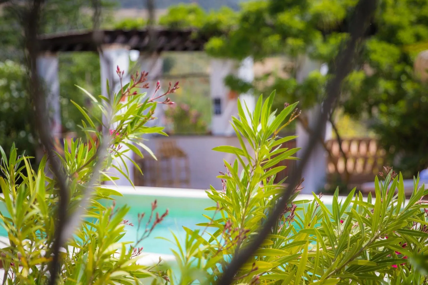 Garden in Hacienda el Tarajal