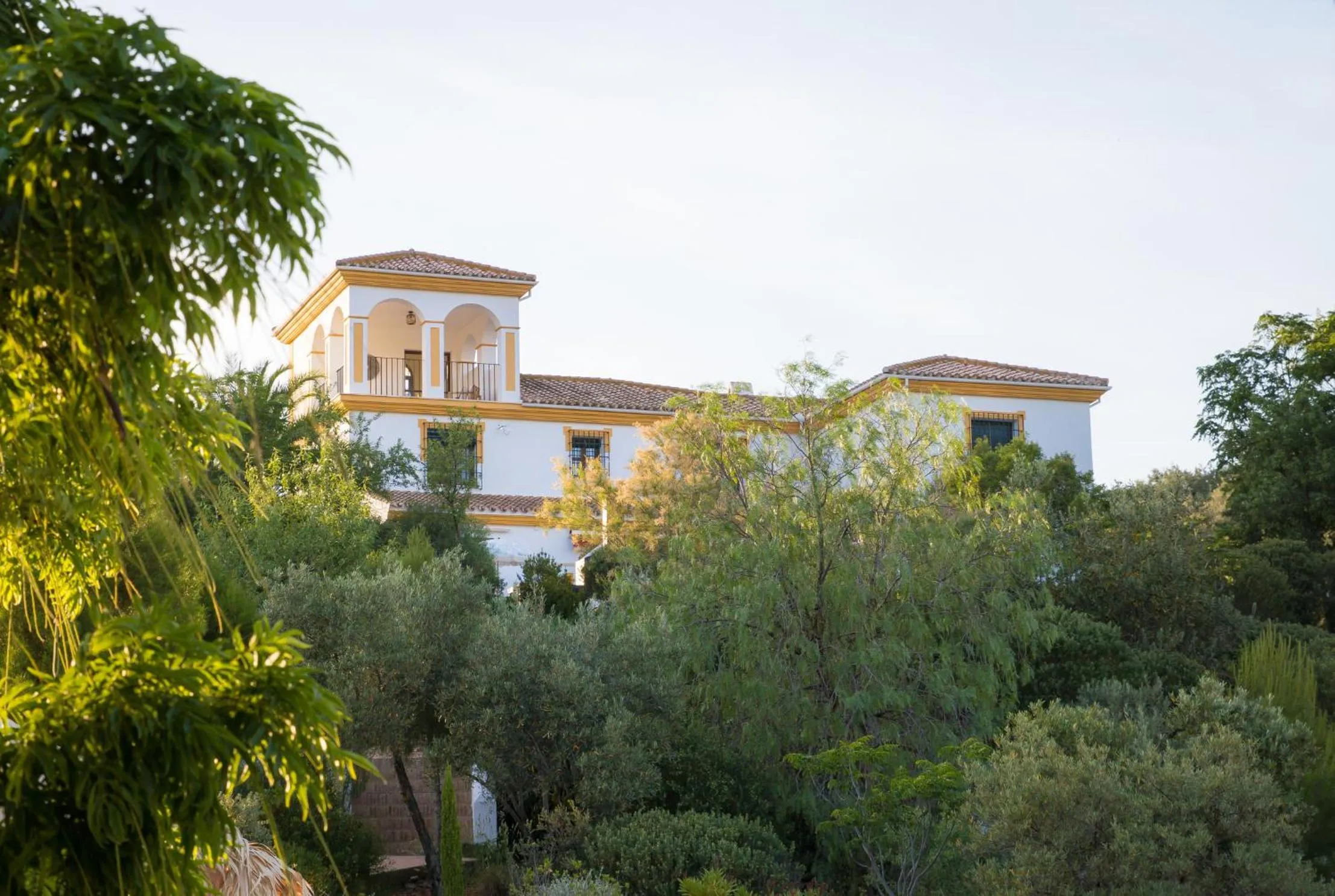 Property building in Hacienda el Tarajal