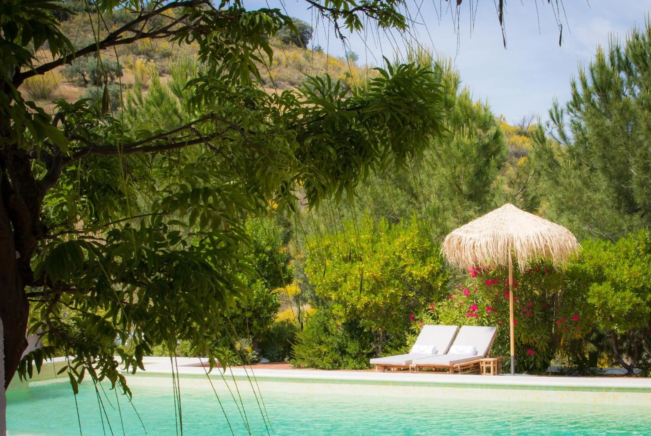 Swimming pool in Hacienda el Tarajal