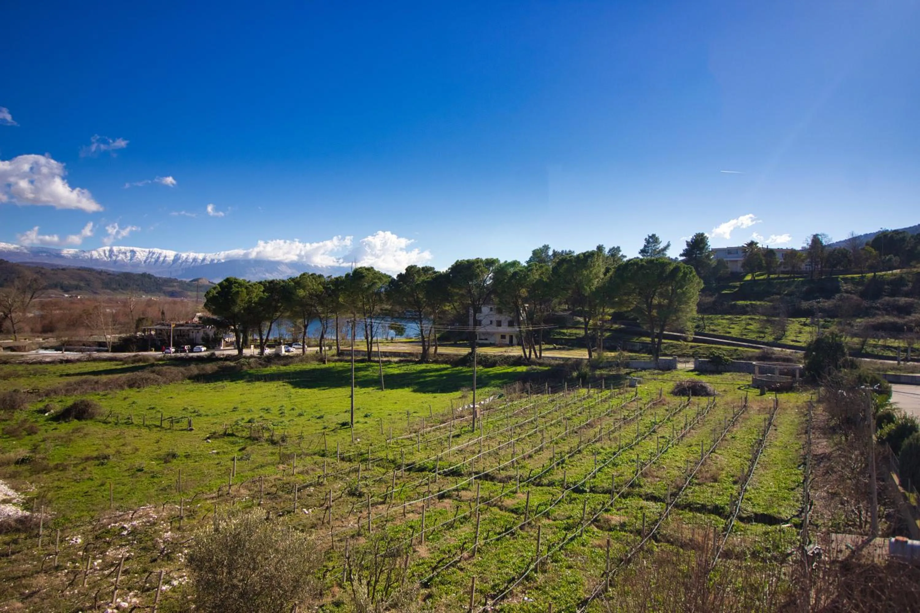 HOTEL RESTORANT VIKTORIA