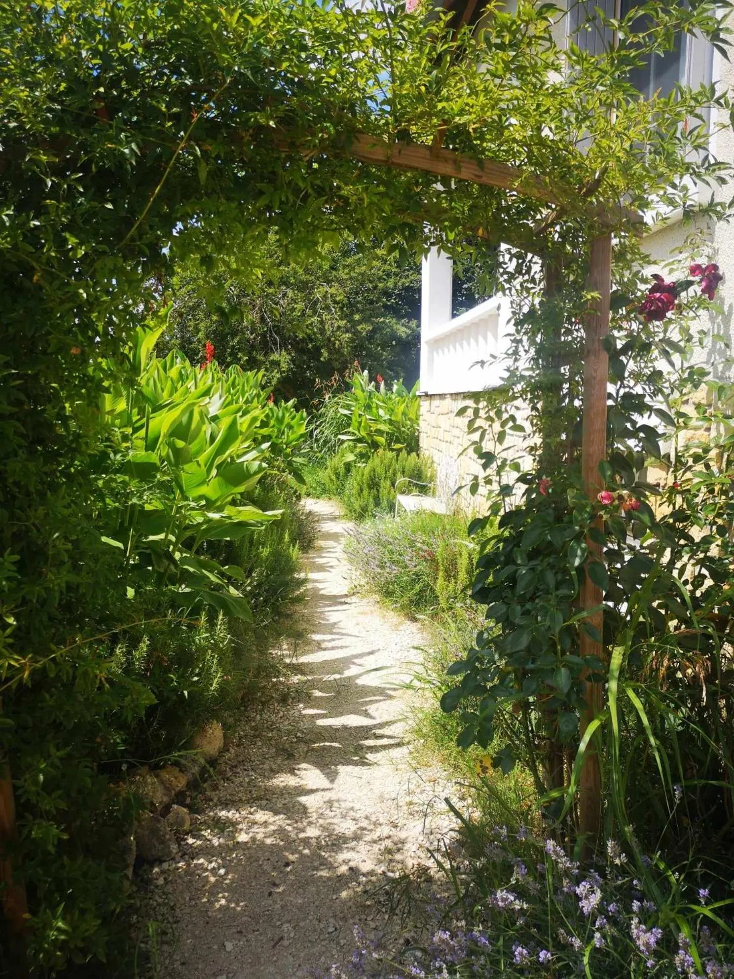 Garden in R & R BERGERAC