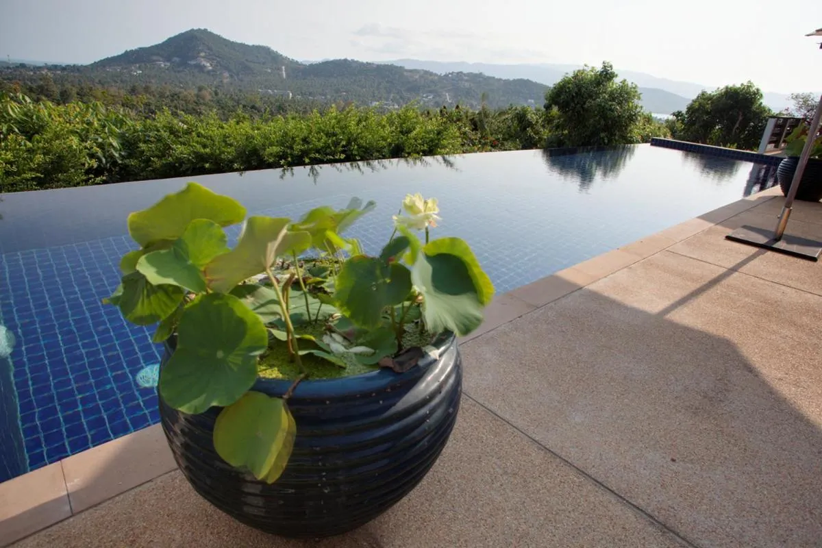 Swimming pool in Villa Alpha - Seaview Private Villa