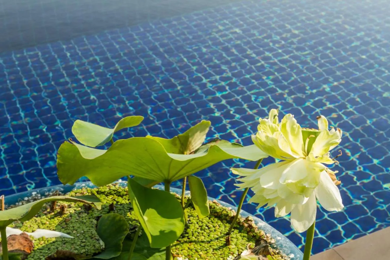Villa Alpha - Seaview Private Villa