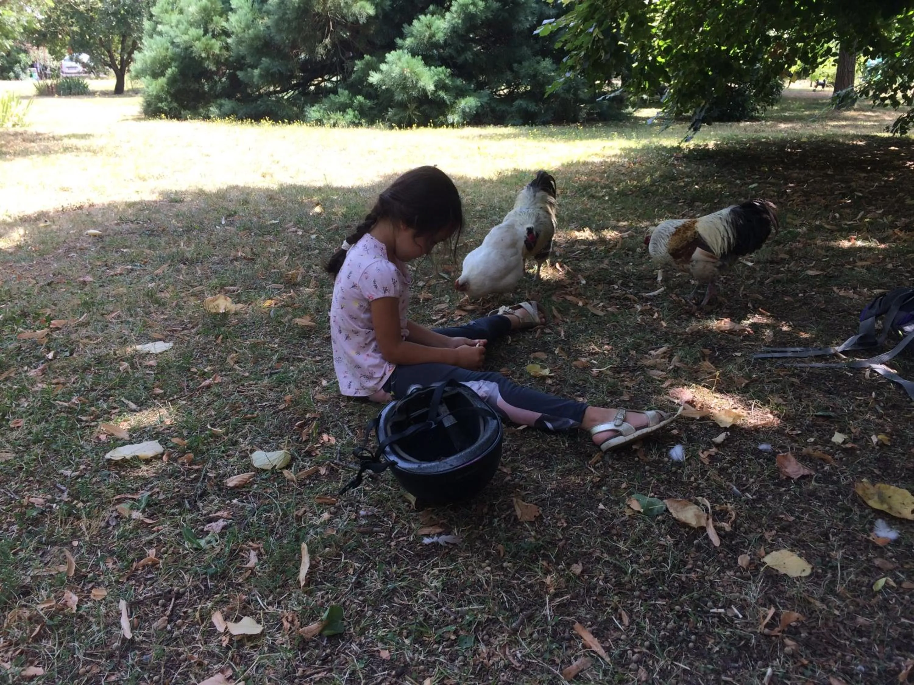 Children play ground in La Closerie de l'Autan