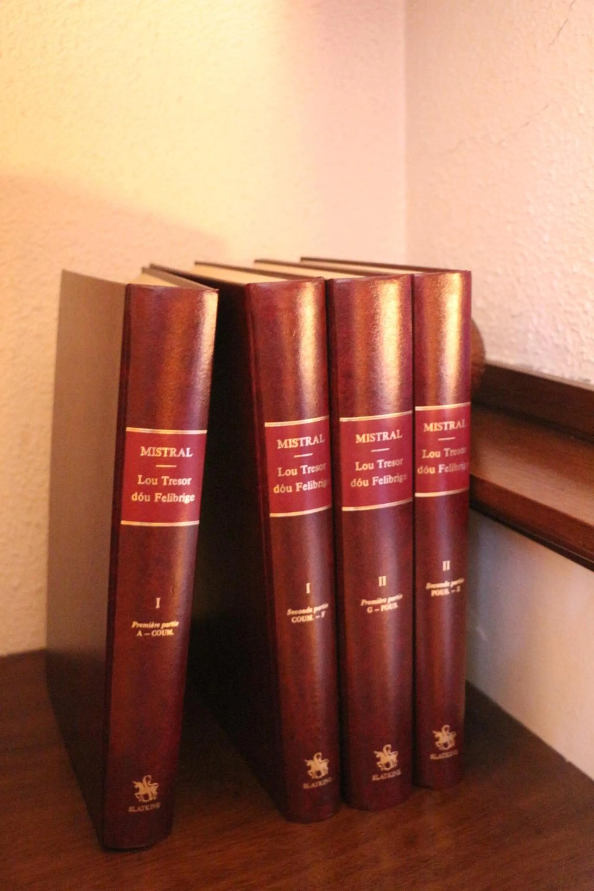 Library in La Closerie de l'Autan